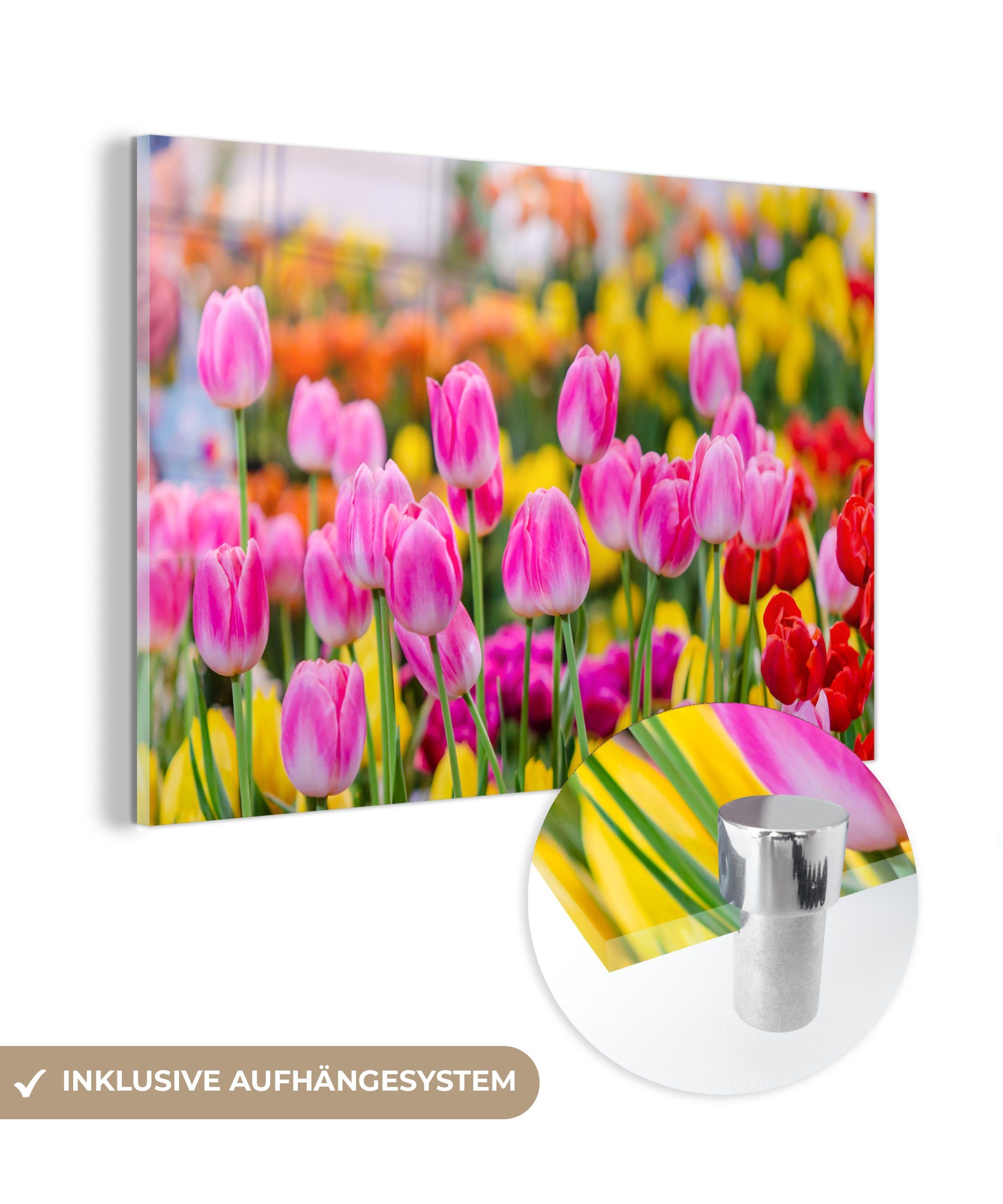 MuchoWow Acrylglasbild Tulpen - Farben - Frühling, (1 St), Acrylglasbilder Wohnzimmer & Schlafzimmer
