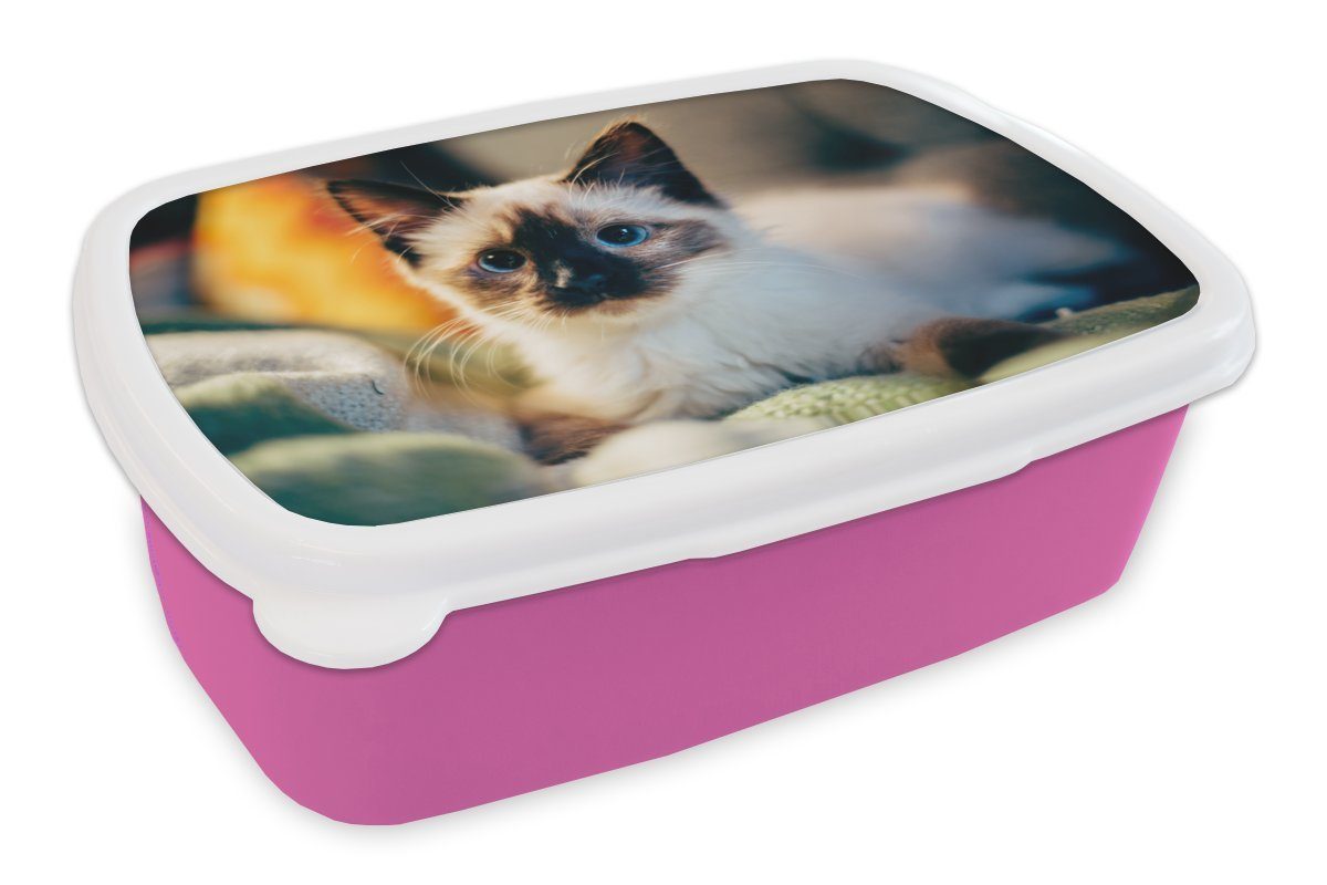 MuchoWow Lunchbox Katze - Fell - Schwarz, Kunststoff, (2-tlg), Brotbox für Erwachsene, Brotdose Kinder, Snackbox, Mädchen, Kunststoff rosa