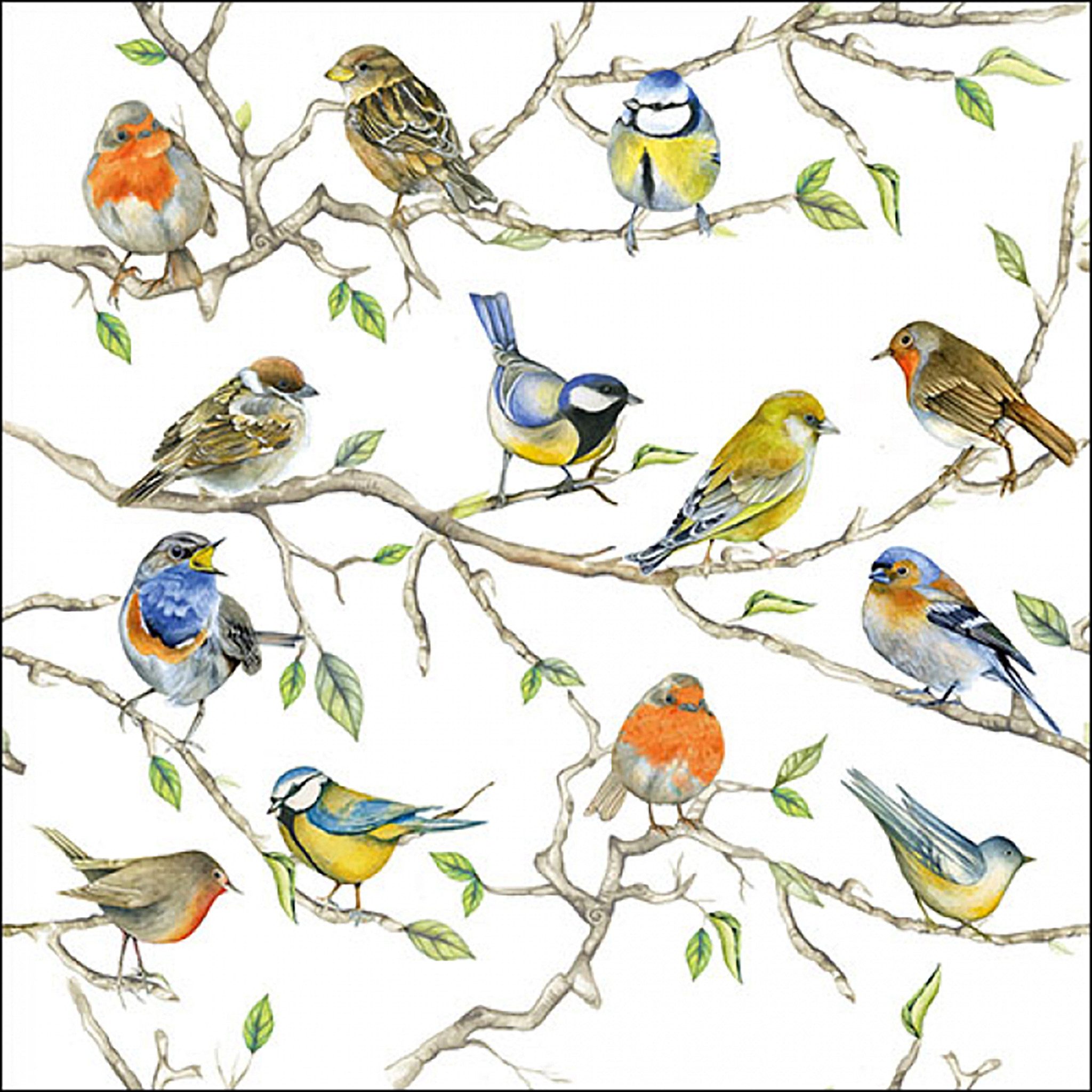 Ambiente Luxury Paper Products Papierserviette, Servietten Papier 33x33cm 3-lagig mit Singvögel & Zweige Motiv 20 Stk.