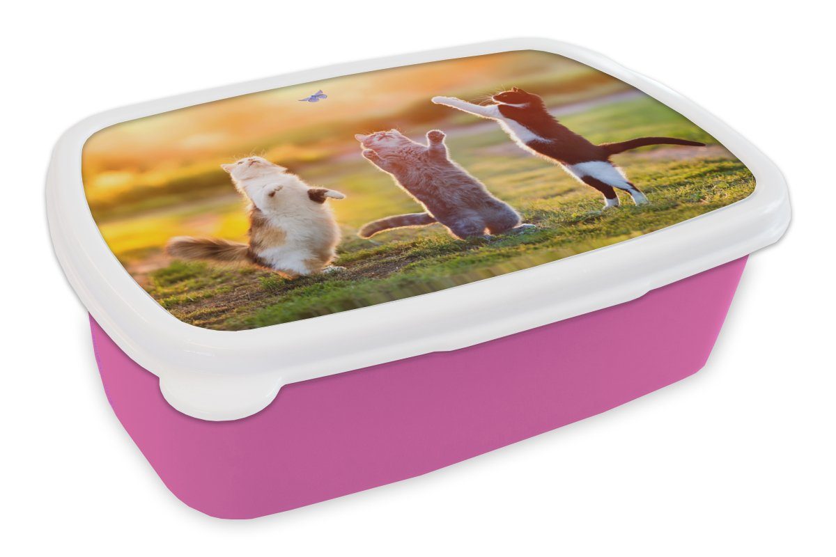 MuchoWow Lunchbox Katzen - Schmetterling - Sonnenuntergang - Gras - Natur, Kunststoff, (2-tlg), Brotbox für Erwachsene, Brotdose Kinder, Snackbox, Mädchen, Kunststoff rosa