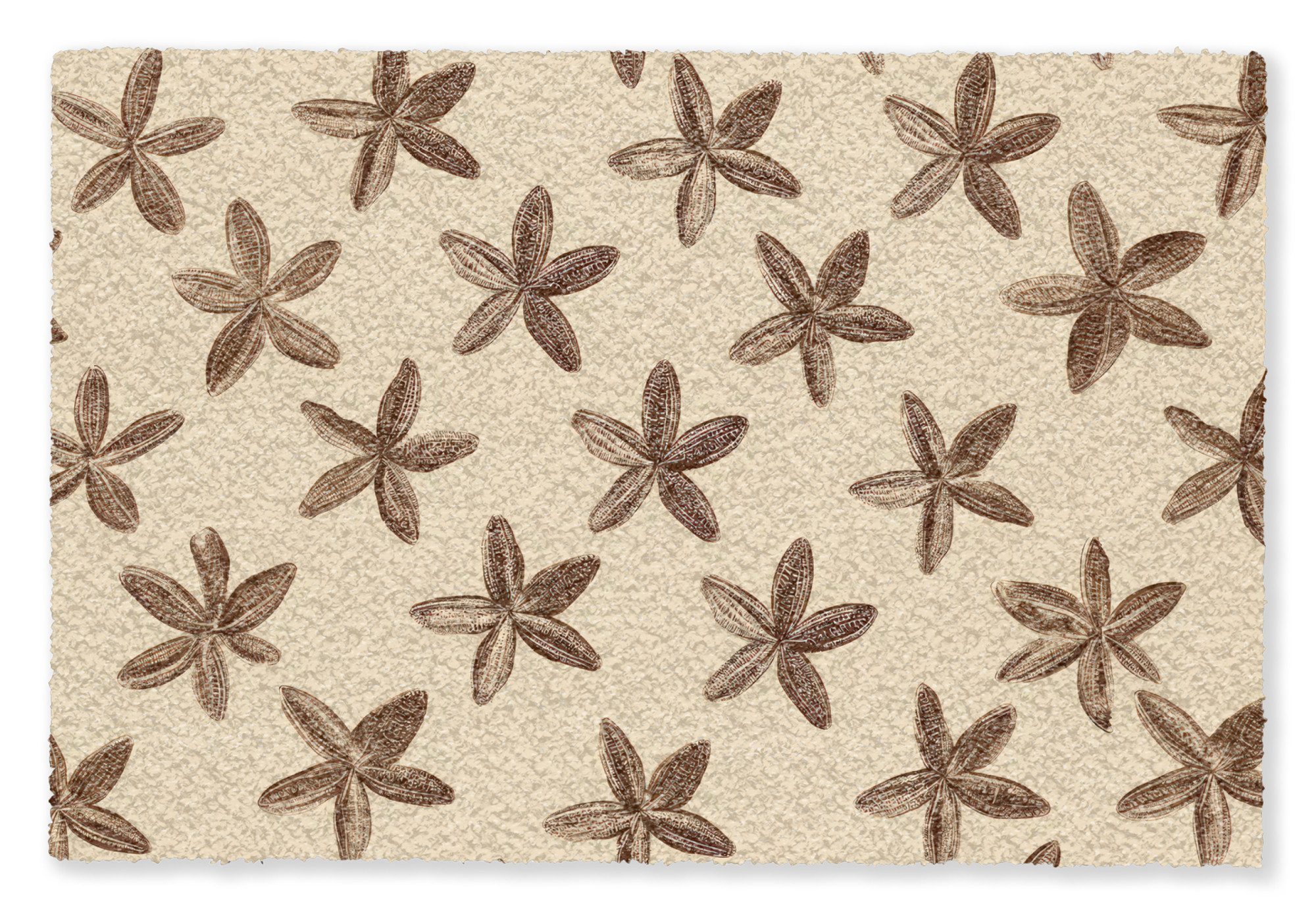 MuchoWow Fußmatte Sterne - Braun - Natürlich, Rechteckig, innen Schmutzfangmatte, Tür, Schmutzfänger Flur, Teppich 60x40 cm