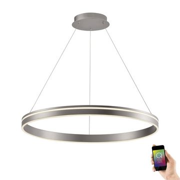 Paul Neuhaus Smarte LED-Leuchte LED Pendellampe CCT Q-Vito, Smart Home, RGB+W-Farbregelung, Dimmfunktion, Memoryfunktion, mit Leuchtmittel, Pendelleuchte Ring, dimmbar, Fernbedienung, Alexa