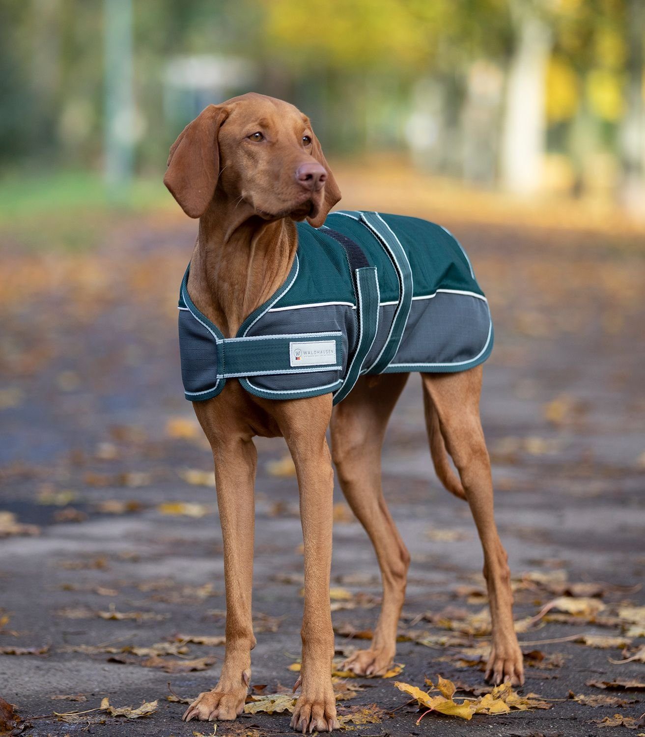 Waldhausen Hundemantel Waldhausen Hundedecke Comfort Line 200 g