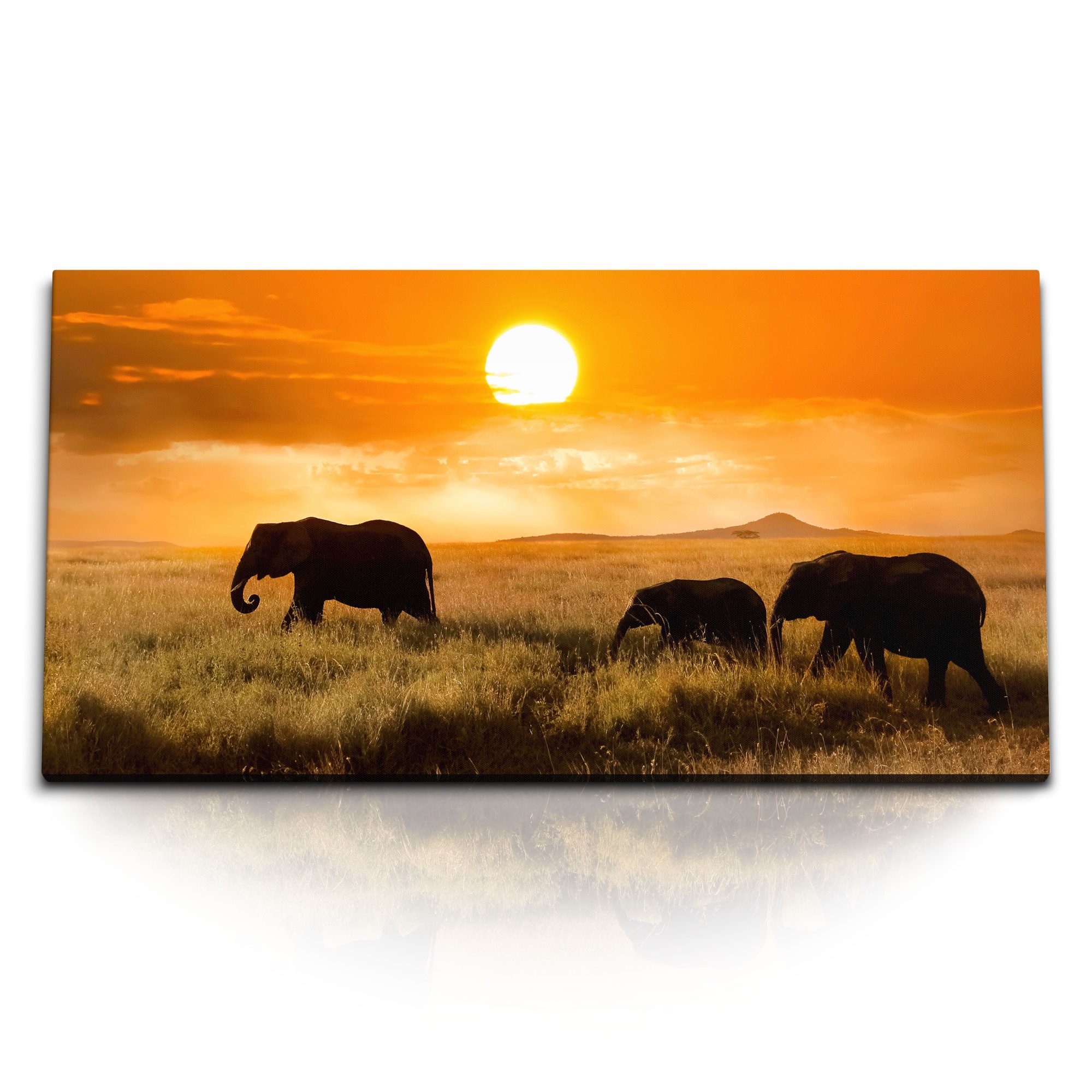 Leinwandbild Kunstdruck Bilder 120x60cm Afrikanische Landschaft Elefanten Tierfotog