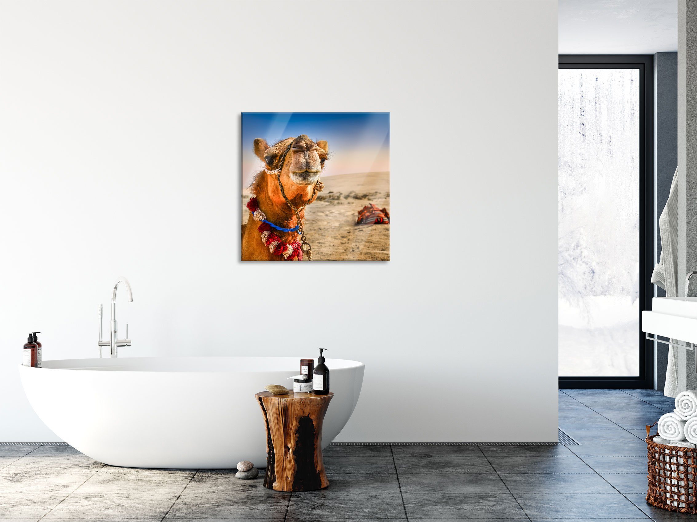 Pixxprint Glasbild und aus Abstandshalter in inkl. Kamel Wüste Wüste, Echtglas, (1 Lustiges St), Aufhängungen in Lustiges Glasbild Kamel