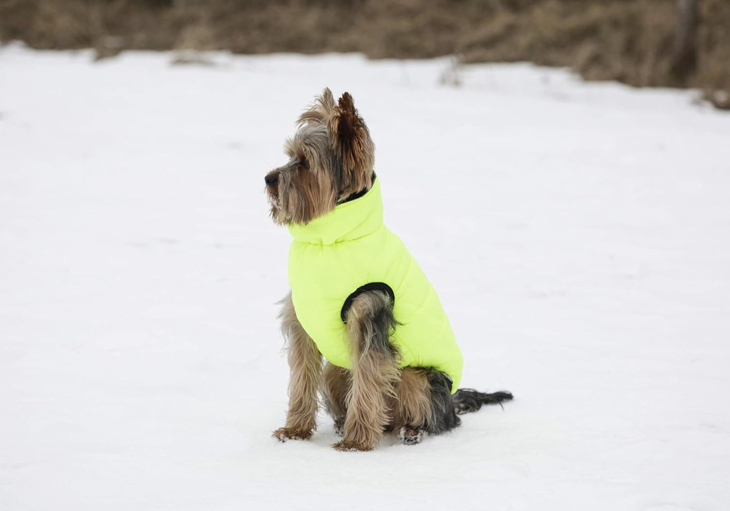 Kerbl Hundemantel Steppmantel Charmonix, grau/neon gelb, M 40 cm