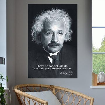 Close Up Poster Albert Einstein Poster I Have no Special Talents.. 61 x 91,5