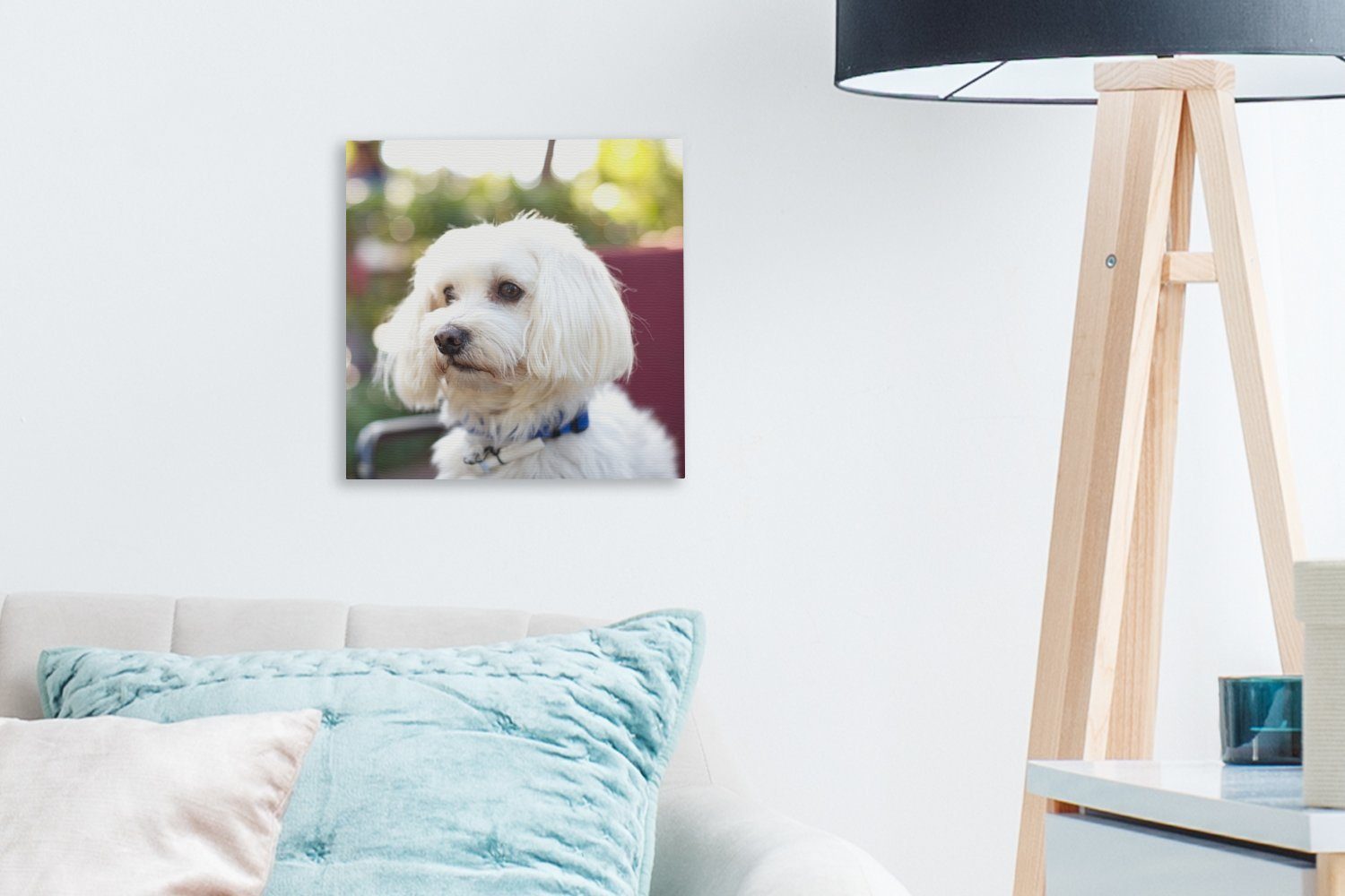 Schlafzimmer Bilder für (1 Hund, St), Malteser Niedlicher Leinwandbild Wohnzimmer OneMillionCanvasses® Leinwand