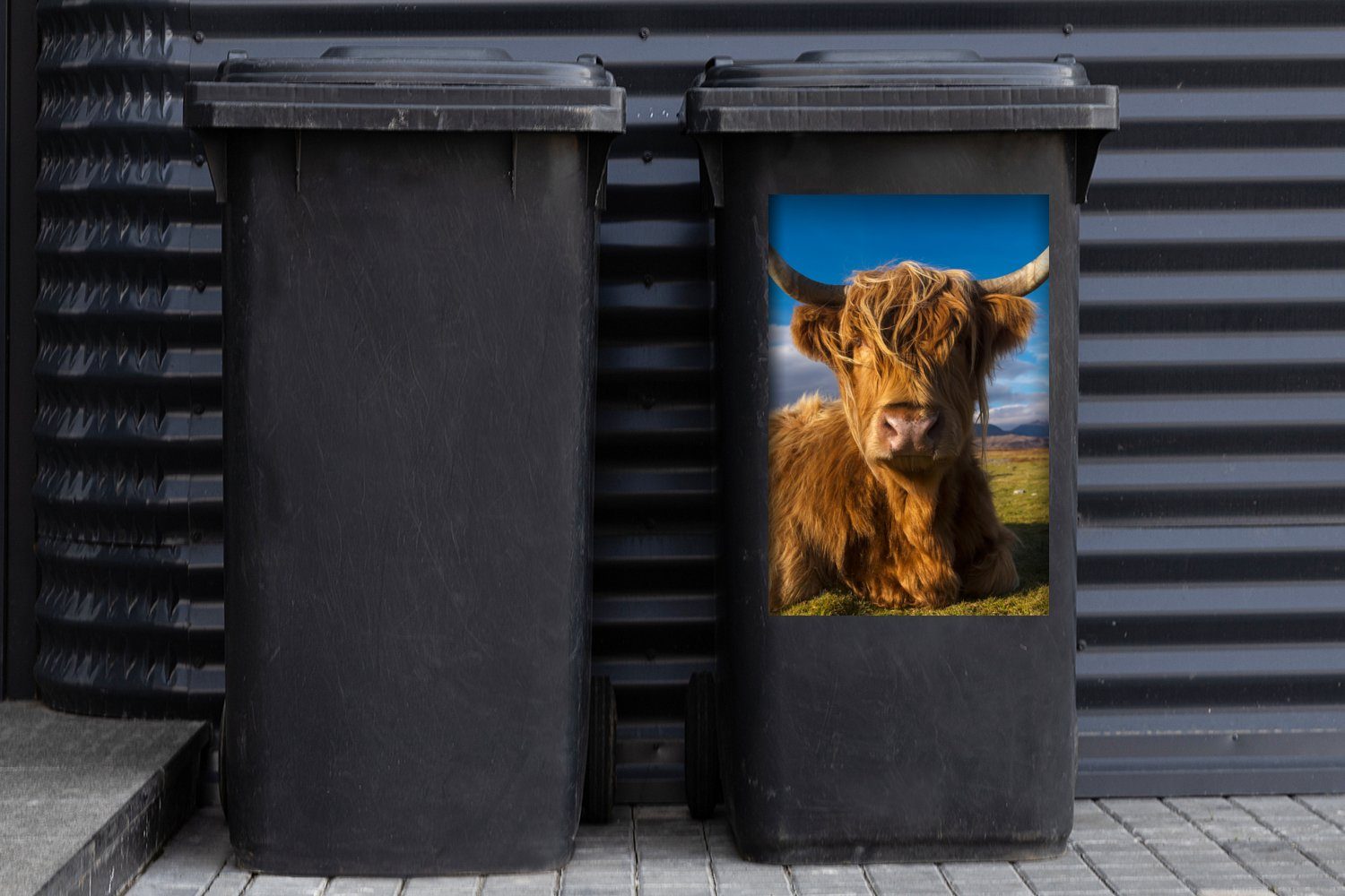 - Mülleimer-aufkleber, Sticker, Container, MuchoWow Gras Wandsticker - Abfalbehälter (1 St), Mülltonne, Highlander Schottische Tiere