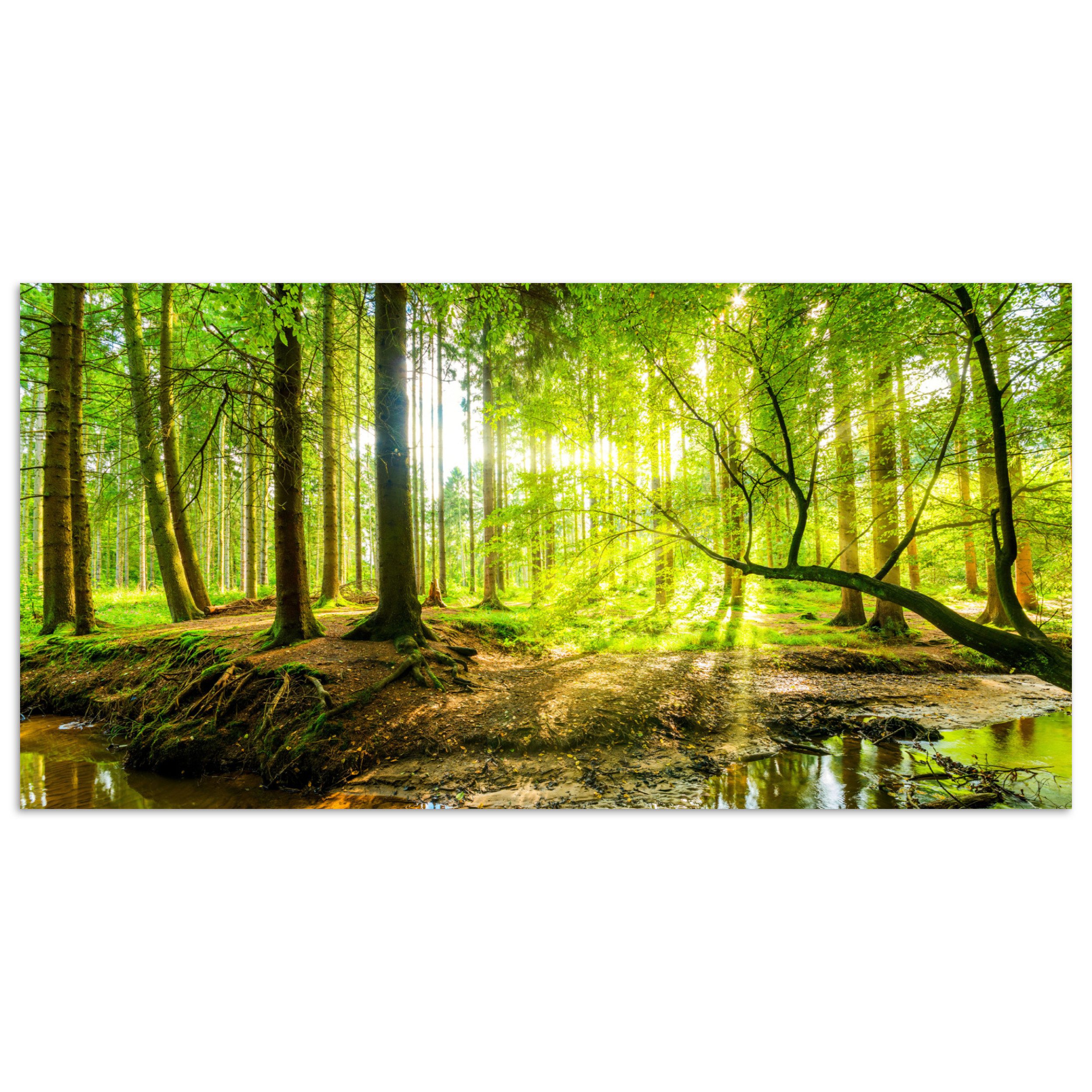 MuchoWow Poster Wald - Landschaft - Wasser - Bäume - Sonne - Grün - Natur, (1 St), Wandbild, Wohnzimmer Deko, Qualitätsdruck Dickes Papier, 80x40 cm