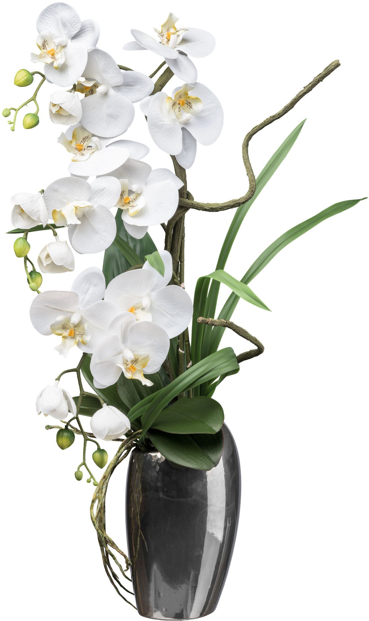 Kunstorchidee Orchidee Phalaenopsis, Creativ green, Höhe günstig online kaufen
