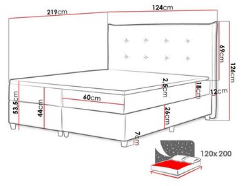 MIRJAN24 Boxspringbett Prato (Pocket-Taschenfedern, Matratze + Topper), Polsterbett, Stilvoll Bettgestell