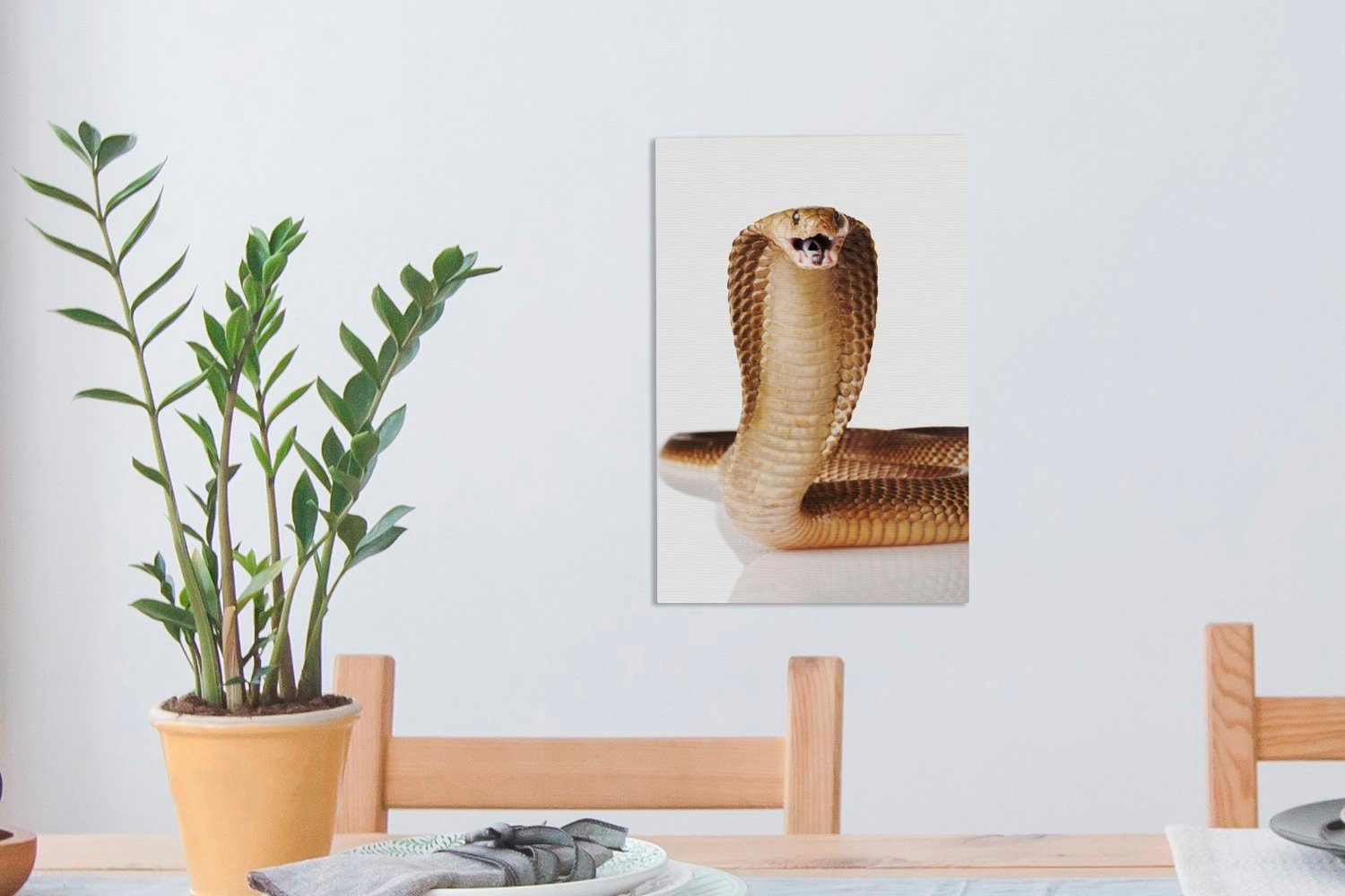 OneMillionCanvasses® Leinwandbild cm weißen auf einem bespannt Zackenaufhänger, inkl. Kobra posiert fertig St), Hintergrund, Gemälde, (1 Leinwandbild 20x30 Schlange