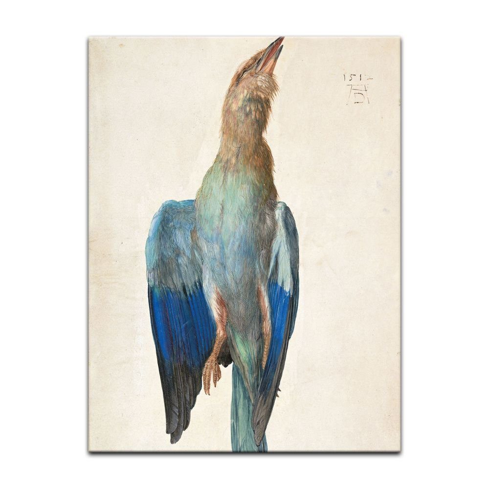 Bilderdepot24 Leinwandbild Alte Meister - Albrecht Dürer - Aquarell - Blaue Krähe, Tiere