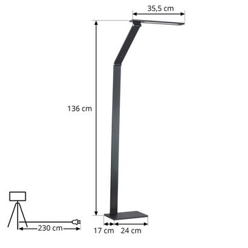 Lucande LED Stehlampe Salome, dimmbar, LED-Leuchtmittel fest verbaut, Farbwechsel warmweiß / tageslicht, Modern, Aluminium, Schwarz, 1 flammig, inkl. Leuchtmittel,dimmbar