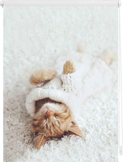 Seitenzugrollo Klemmfix Digital Sleepy Cat, LICHTBLICK ORIGINAL, verdunkelnd, ohne Bohren, freihängend, Klemmfix, bedruckt