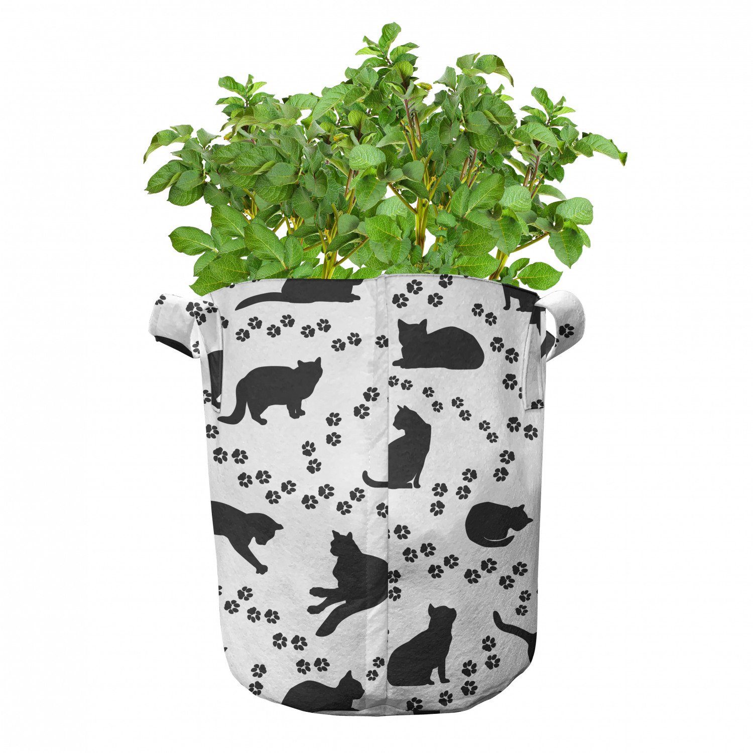 Kätzchen Abdrücke für hochleistungsfähig Stofftöpfe Katze Pflanzen, Abakuhaus Griffen mit Paws Pflanzkübel