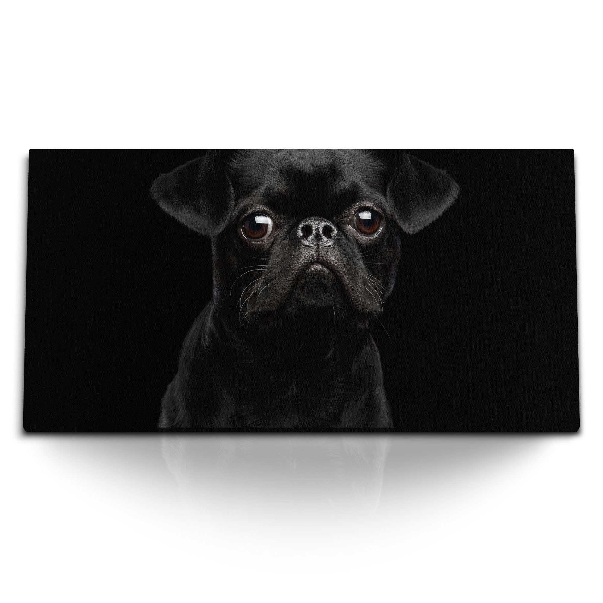 Leinwandbild Kunstdruck Bilder 120x60cm Kleiner schwarzer Mops Hund Welpe Tierfotog