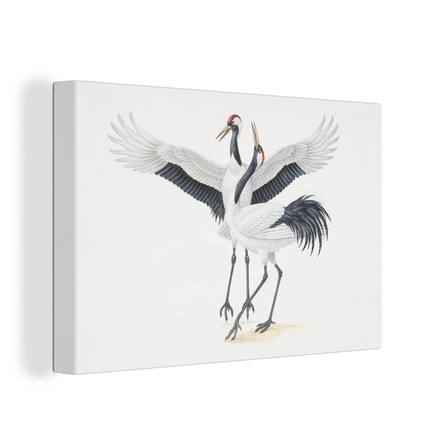 OneMillionCanvasses® Leinwandbild Illustration von zwei chinesischen günstig online kaufen