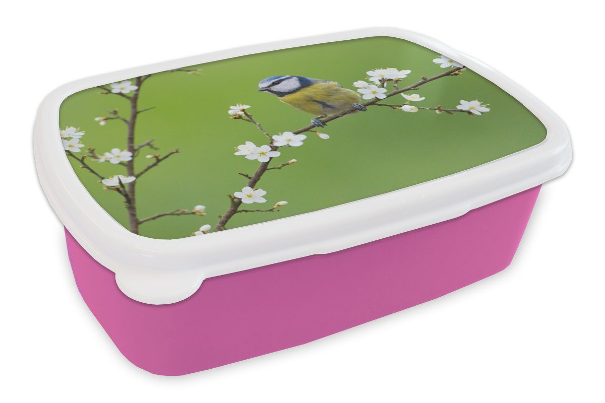 MuchoWow Lunchbox Blaumeise - Zweig - Blumen - Blühende Zweige - Vogel, Kunststoff, (2-tlg), Brotbox für Erwachsene, Brotdose Kinder, Snackbox, Mädchen, Kunststoff rosa