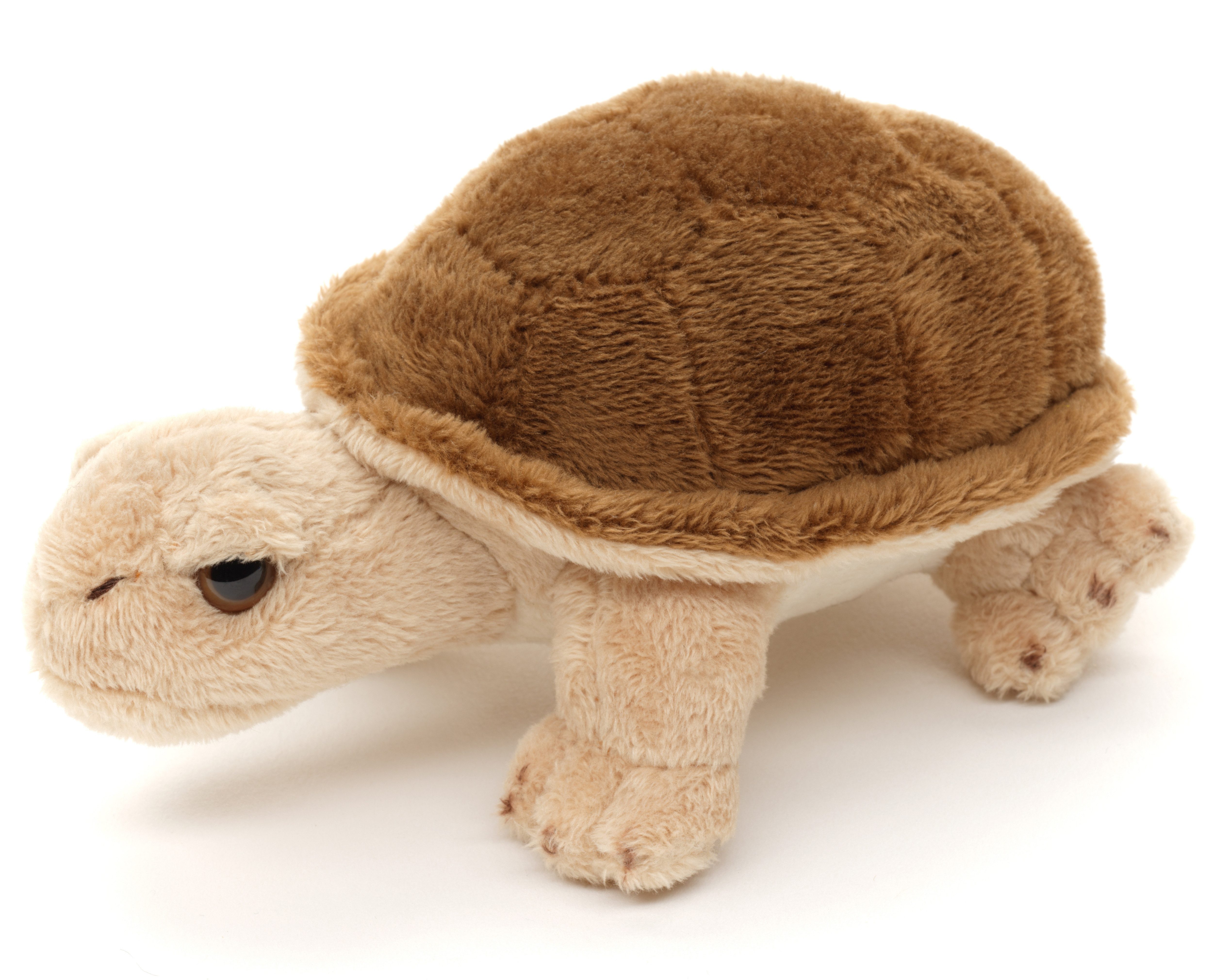 Uni-Toys Kuscheltier Landschildkröte - Verschied. Modelle - Plüsch-Schildkr günstig online kaufen