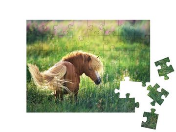 puzzleYOU Puzzle Shetlandpony auf grüner Sommerweide, 48 Puzzleteile, puzzleYOU-Kollektionen Pferde, 48 Teile, 100 Teile, Shetlandpony