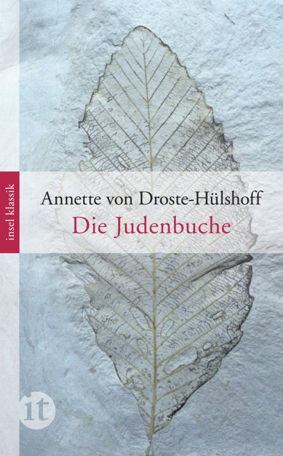 Die Judenbuche / Annette von Droste-Hülshoff