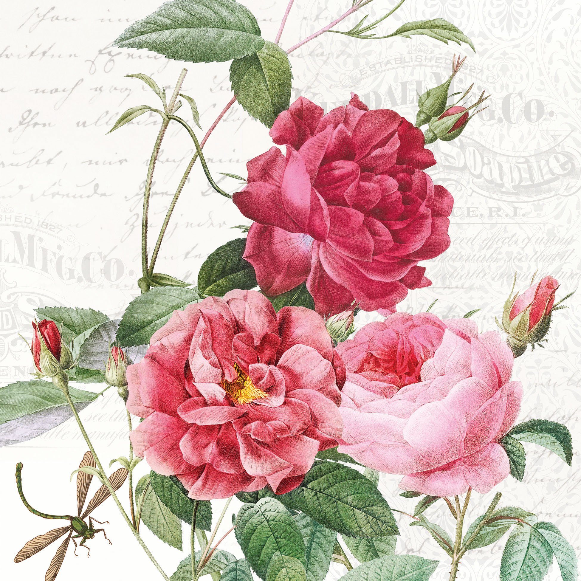 Ambiente Papierserviette Rosengarten, (20 St), 20 Stück