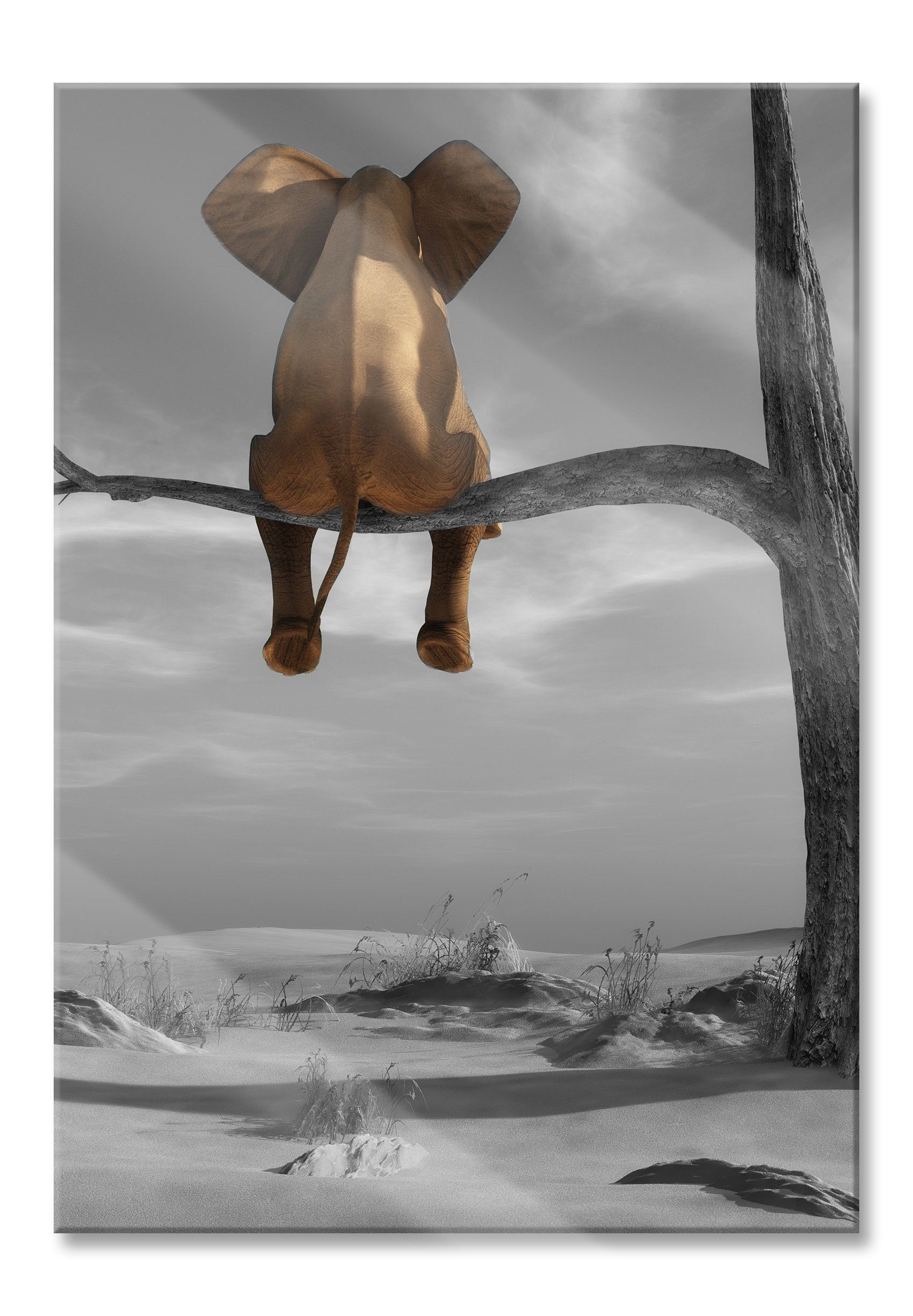 Glasbild Elefant auf einem Ast in der Wüste