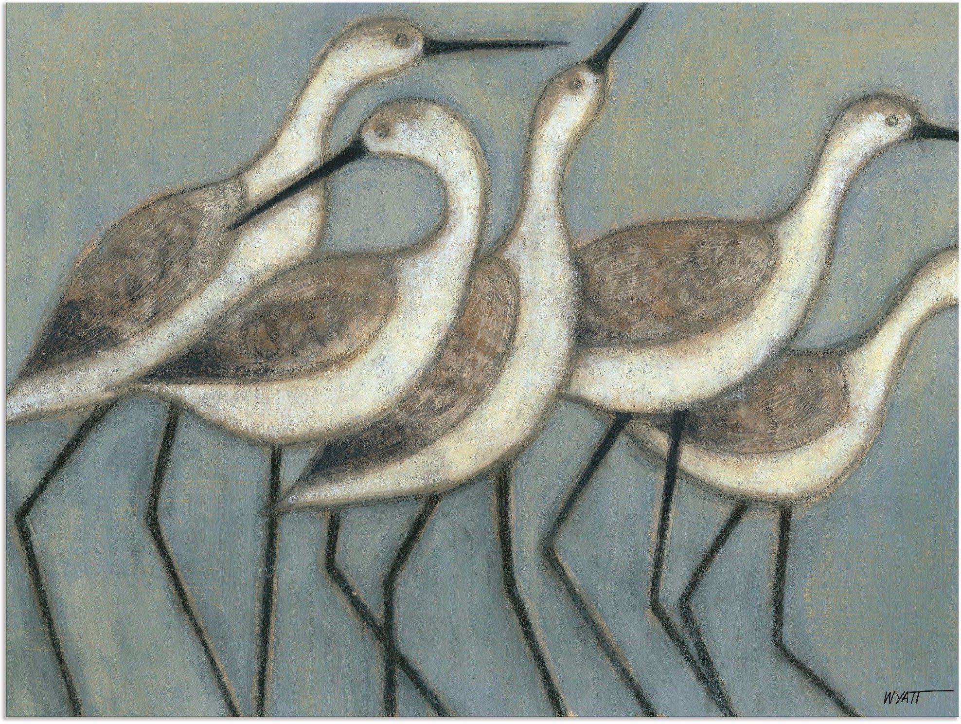 Artland Alu-Dibond-Druck Küstenvögel II, Vögel (1 St), für Innen- und Außenbereich geeignet, Outdoorbild