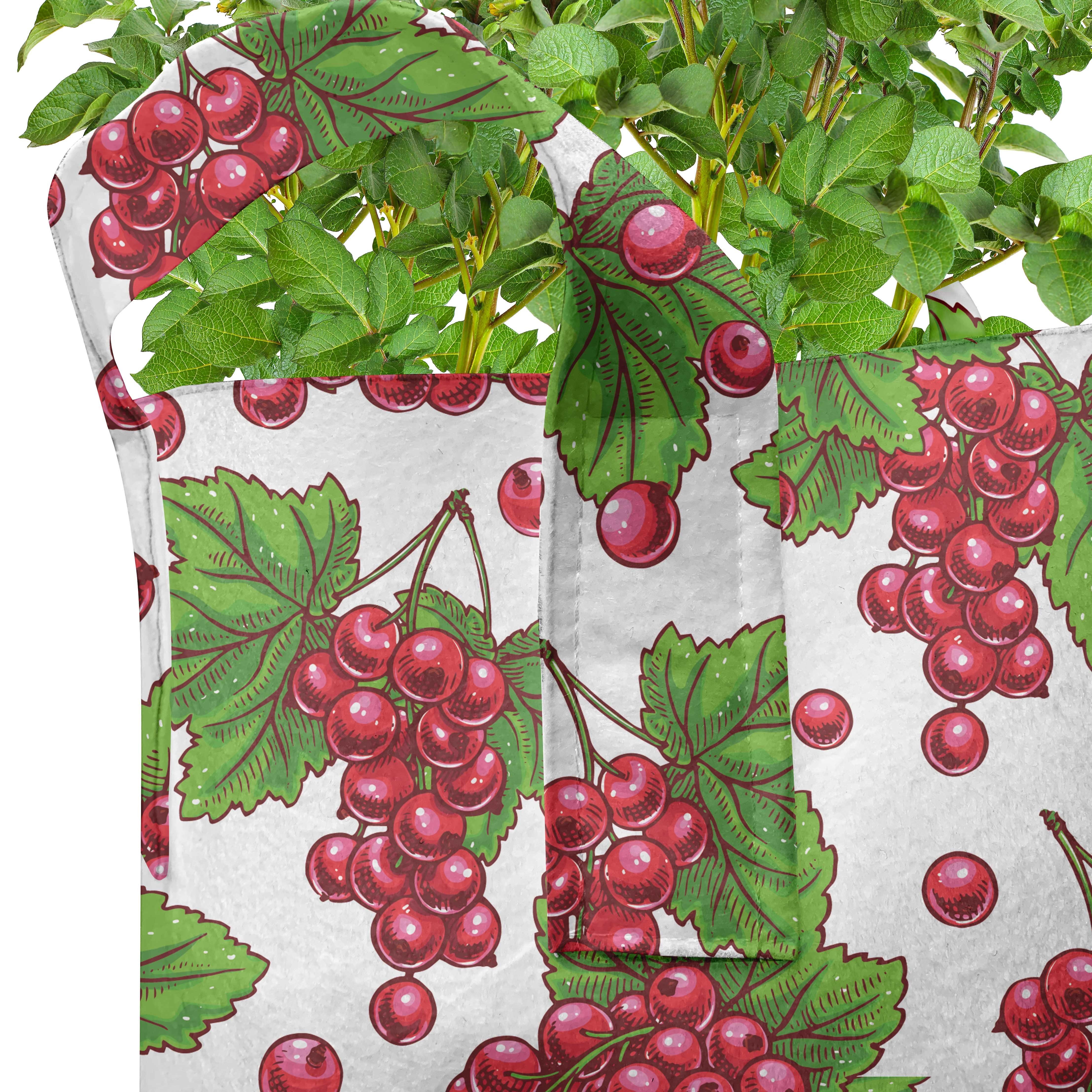 Natur Grape hochleistungsfähig Abakuhaus Pflanzkübel mit Ernte Griffen Fruit Pflanzen, für Stofftöpfe
