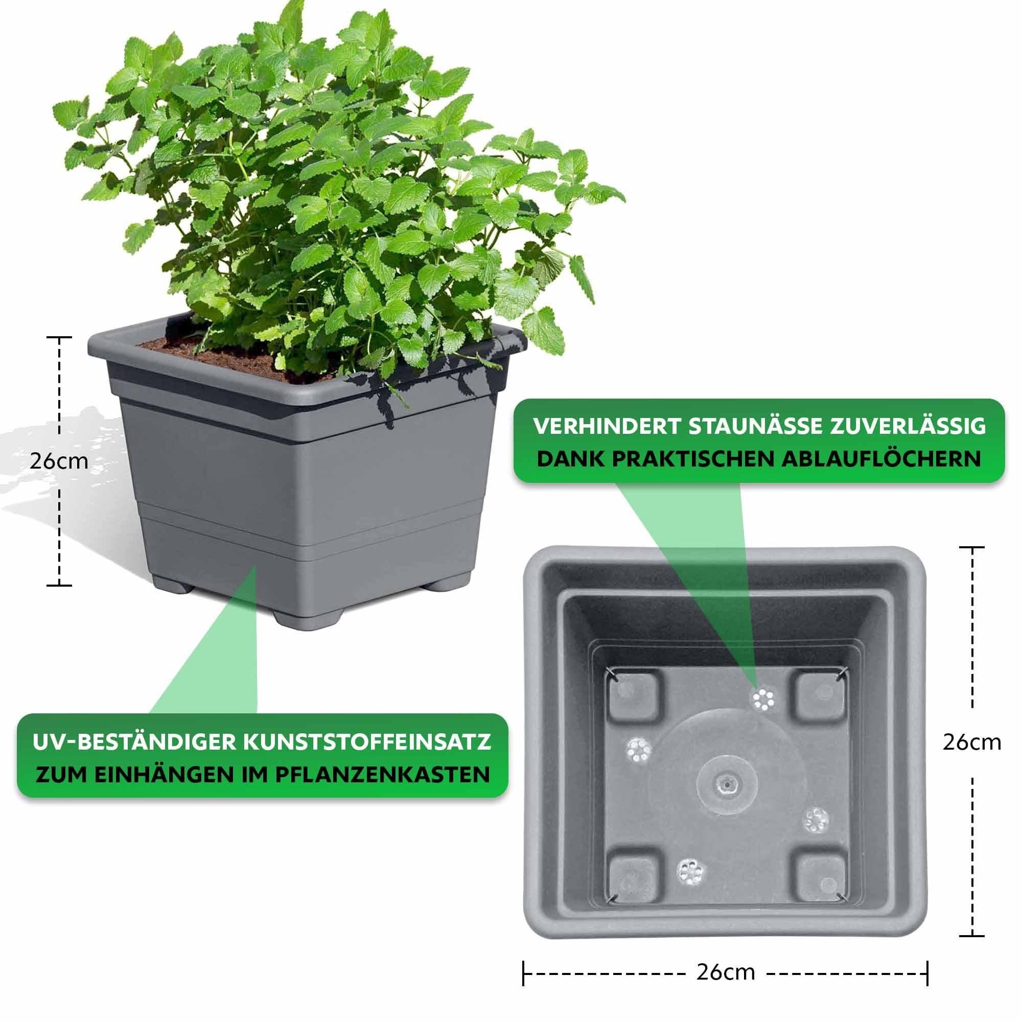 Endorphin Blumenkasten Pflanzkasten 2er Set aus günstig online kaufen