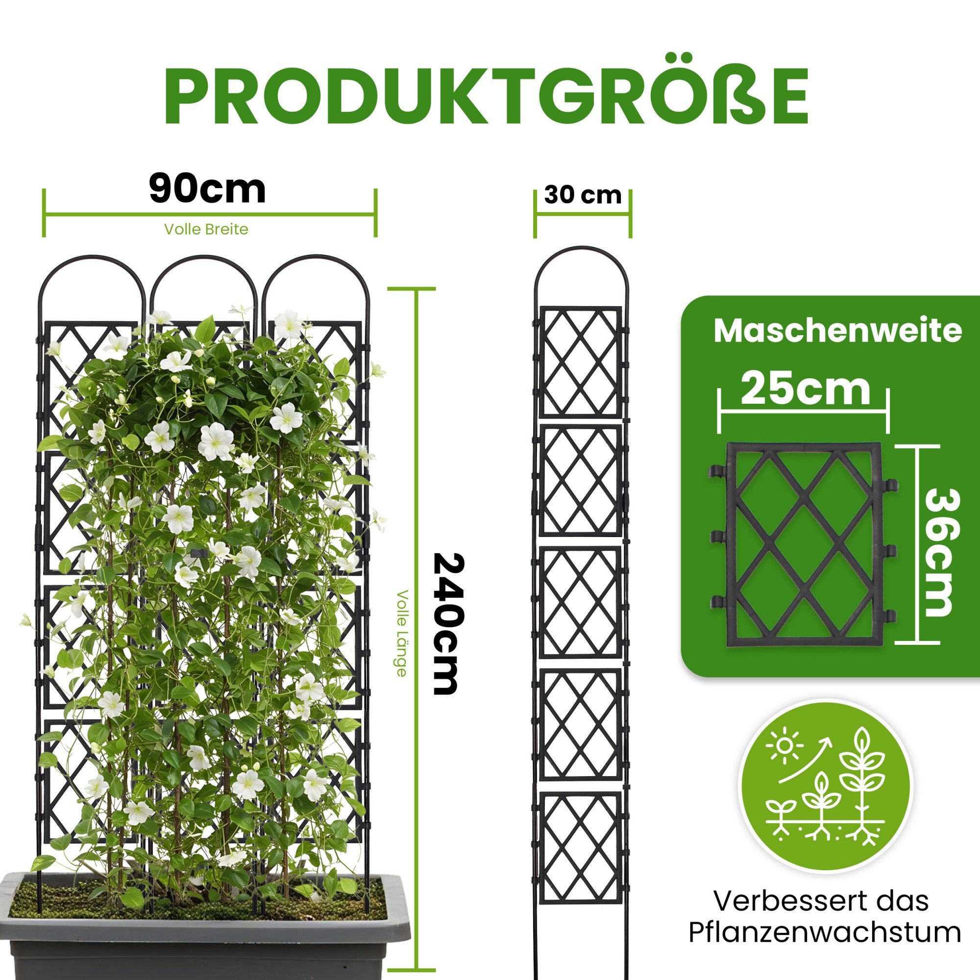 Gartenwelt Riegelsberger Rankhilfe Wandspalier mit Bogen günstig online kaufen