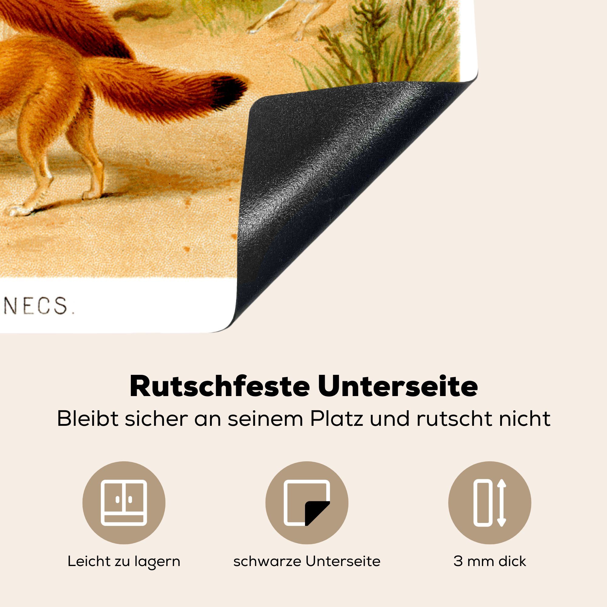 Ceranfeldabdeckung (1 Fennecs tlg), Wüste, Arbeitsfläche Herdblende-/Abdeckplatte in Illustration der 70x52 Mobile eines nutzbar, cm, MuchoWow Vinyl,