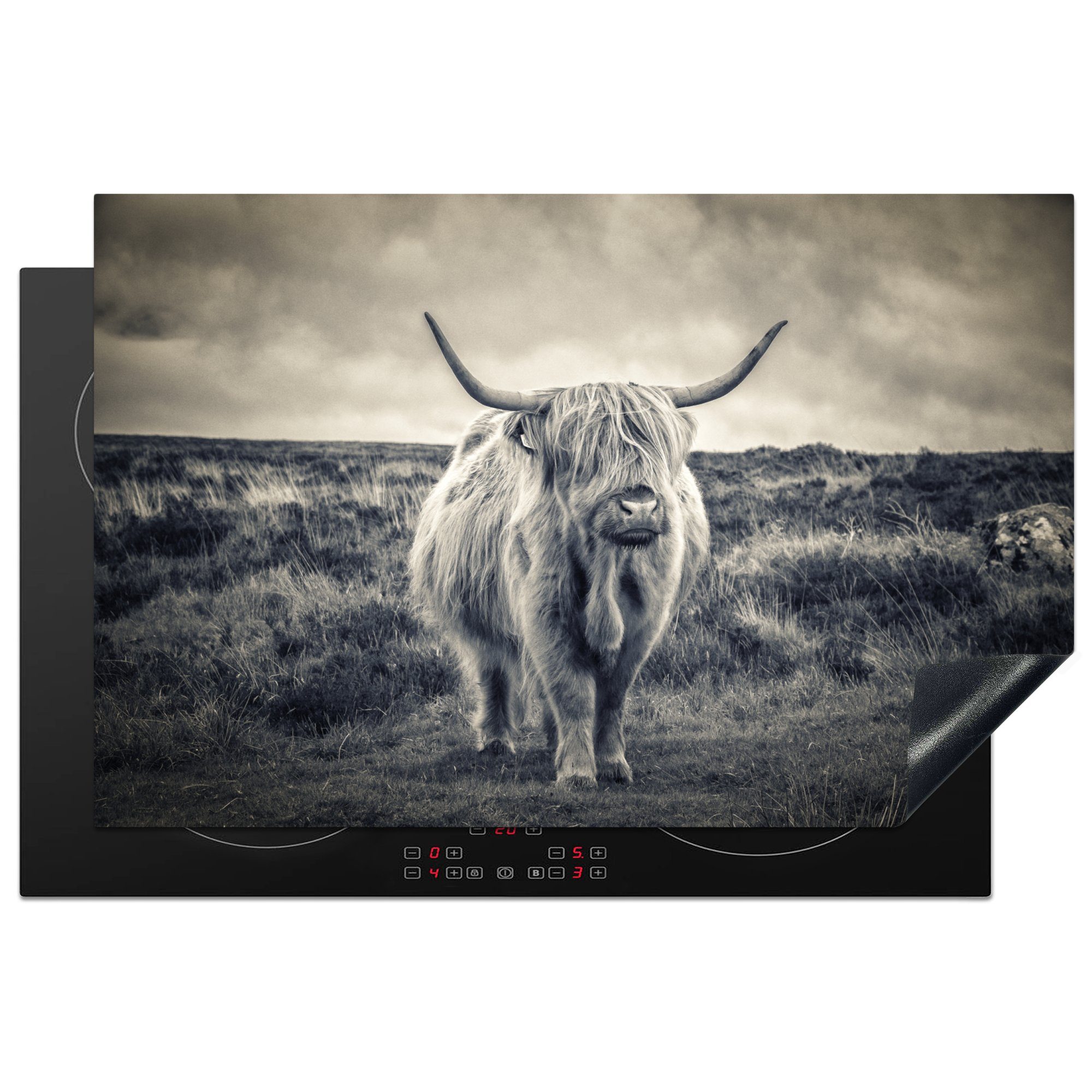 MuchoWow Herdblende-/Abdeckplatte Schottischer Hochländer - Tiere - Wolken - Kuh - Natur, Vinyl, (1 tlg), 81x52 cm, Induktionskochfeld Schutz für die küche, Ceranfeldabdeckung