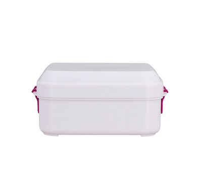 Biodora Vorratsdose Lunchbox mit Verschluss 11 x 11 x 5 cm - 0,4 Liter, Bio-Kunststoff