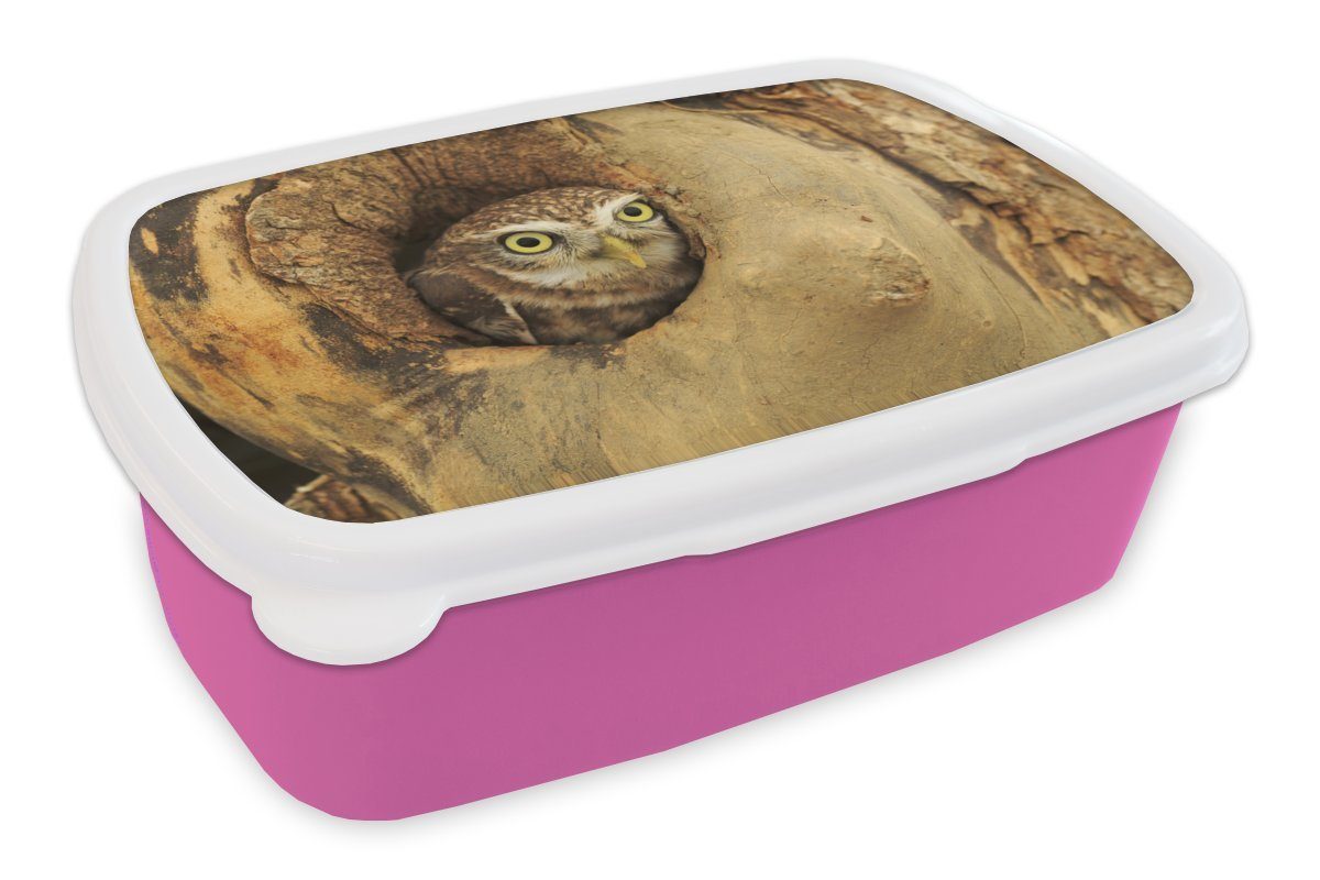 MuchoWow Lunchbox Braune Eule, die aus einem Loch in einem Baum schaut, Kunststoff, (2-tlg), Brotbox für Erwachsene, Brotdose Kinder, Snackbox, Mädchen, Kunststoff rosa