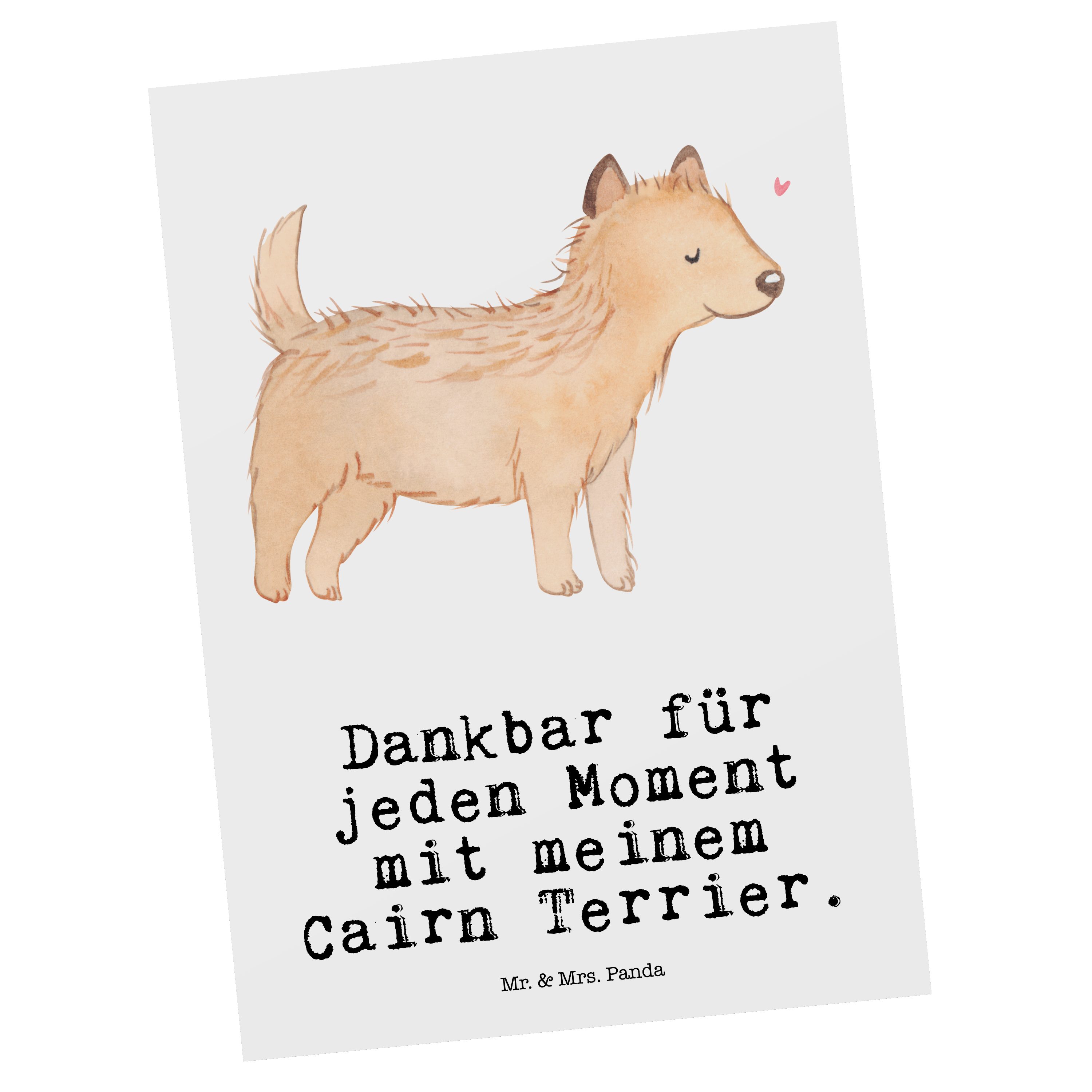 Mr. & Mrs. Panda Postkarte Cairn Terrier Moment - Weiß - Geschenk, Hund, Hunderasse, Geschenkkar