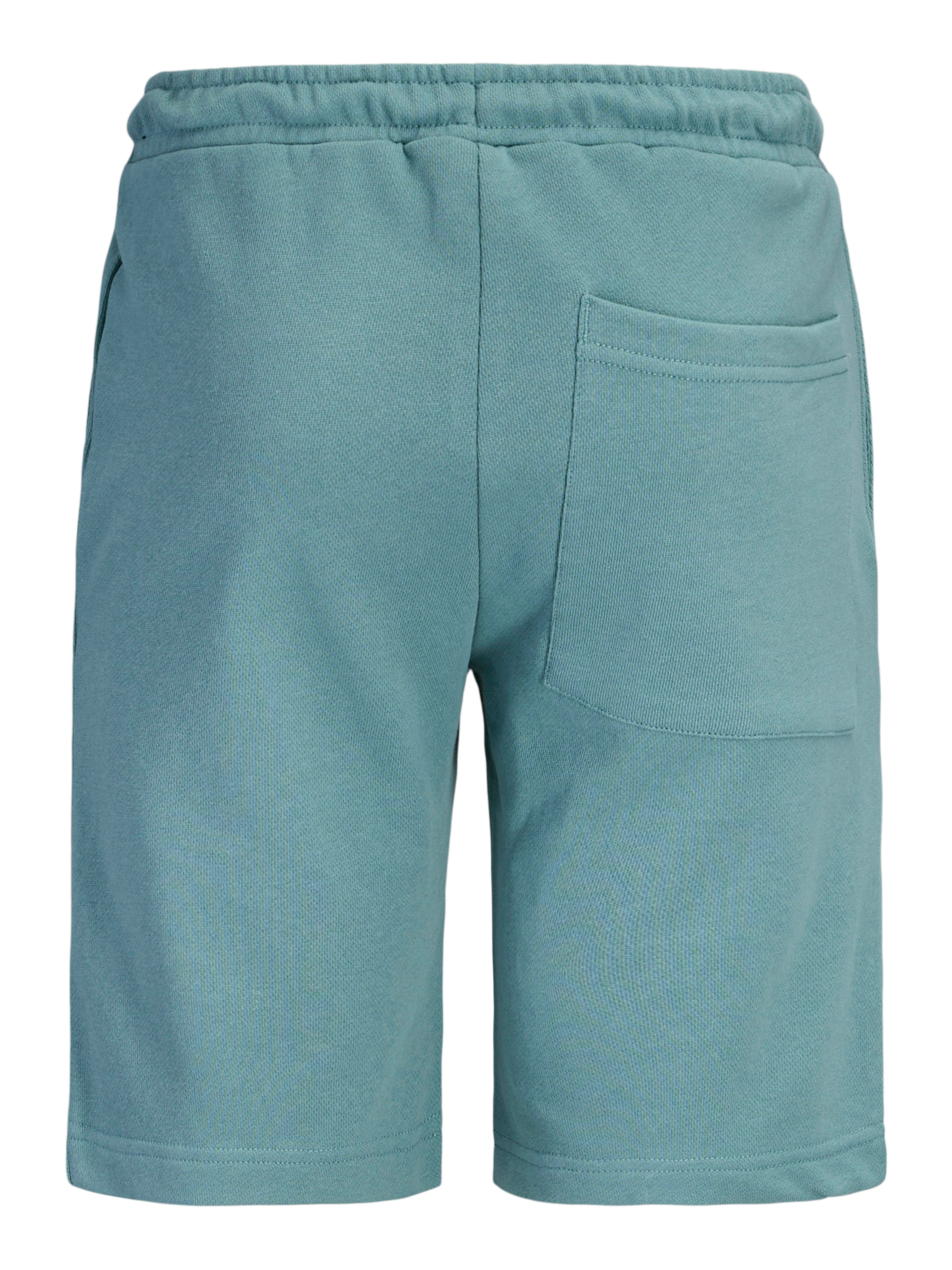 Jack & Jones Junior Sweatshorts JPSTGORDON COLLEGE SWEAT SHORTS MID JNR – Bild 5 von 5