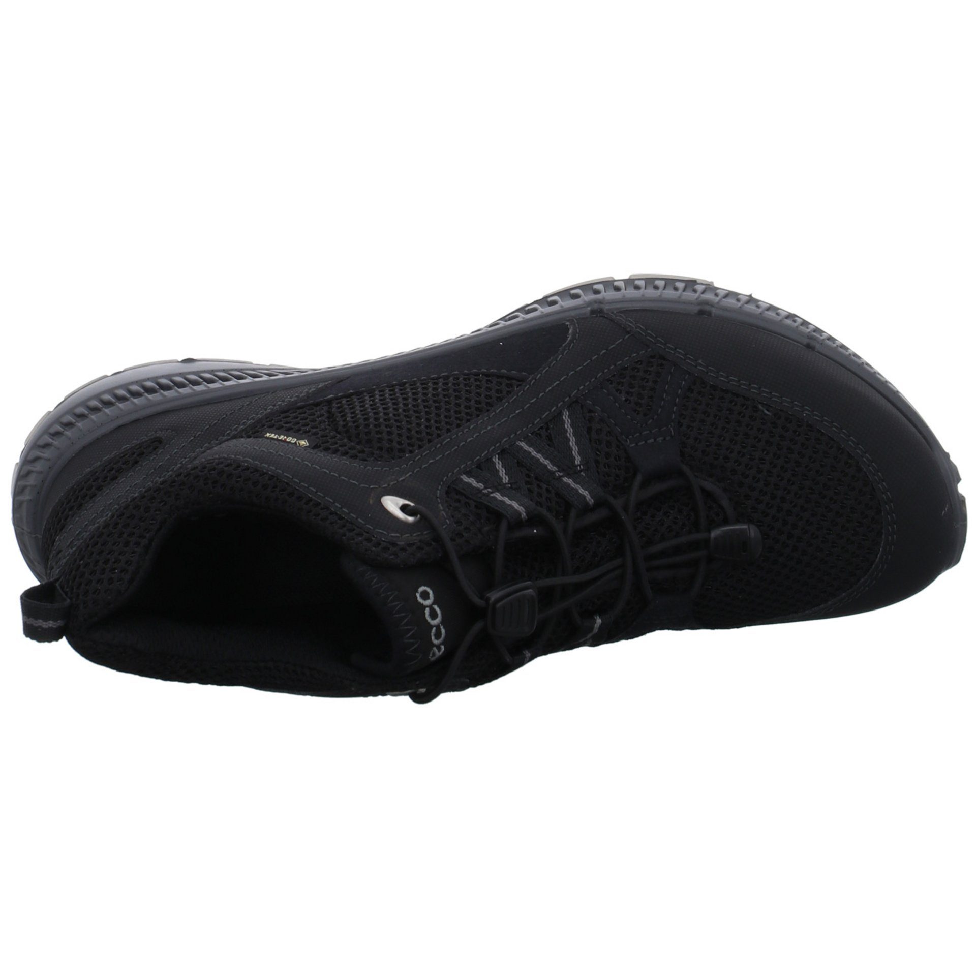 Outdoorschuh Ecco Terracruise Damen GTX Synthetikkombination Schuhe Outdoor black Outdoorschuh