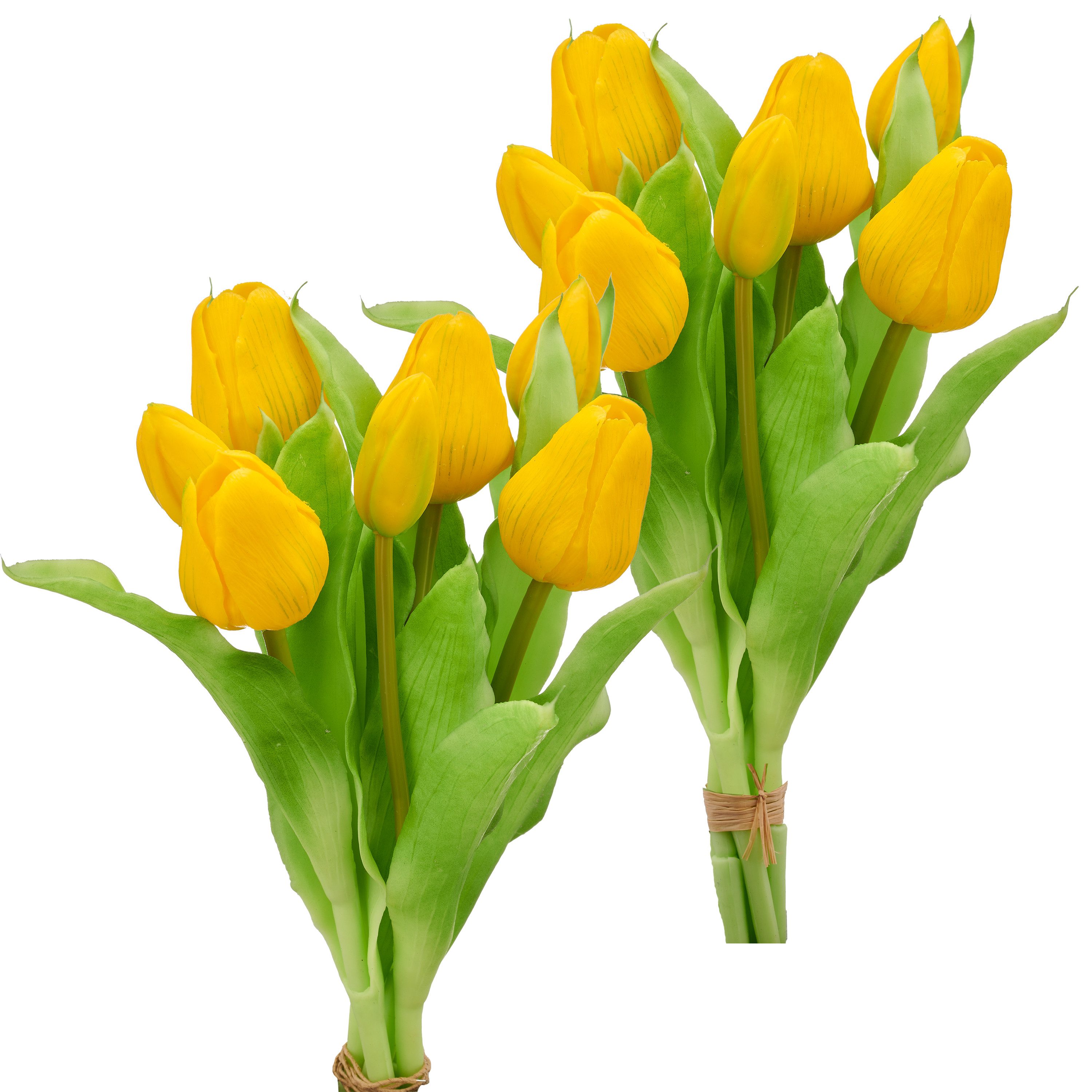 Kunsttulpe Tulpenbund, Creativ green, Höhe 31 cm, in schöner Farbe