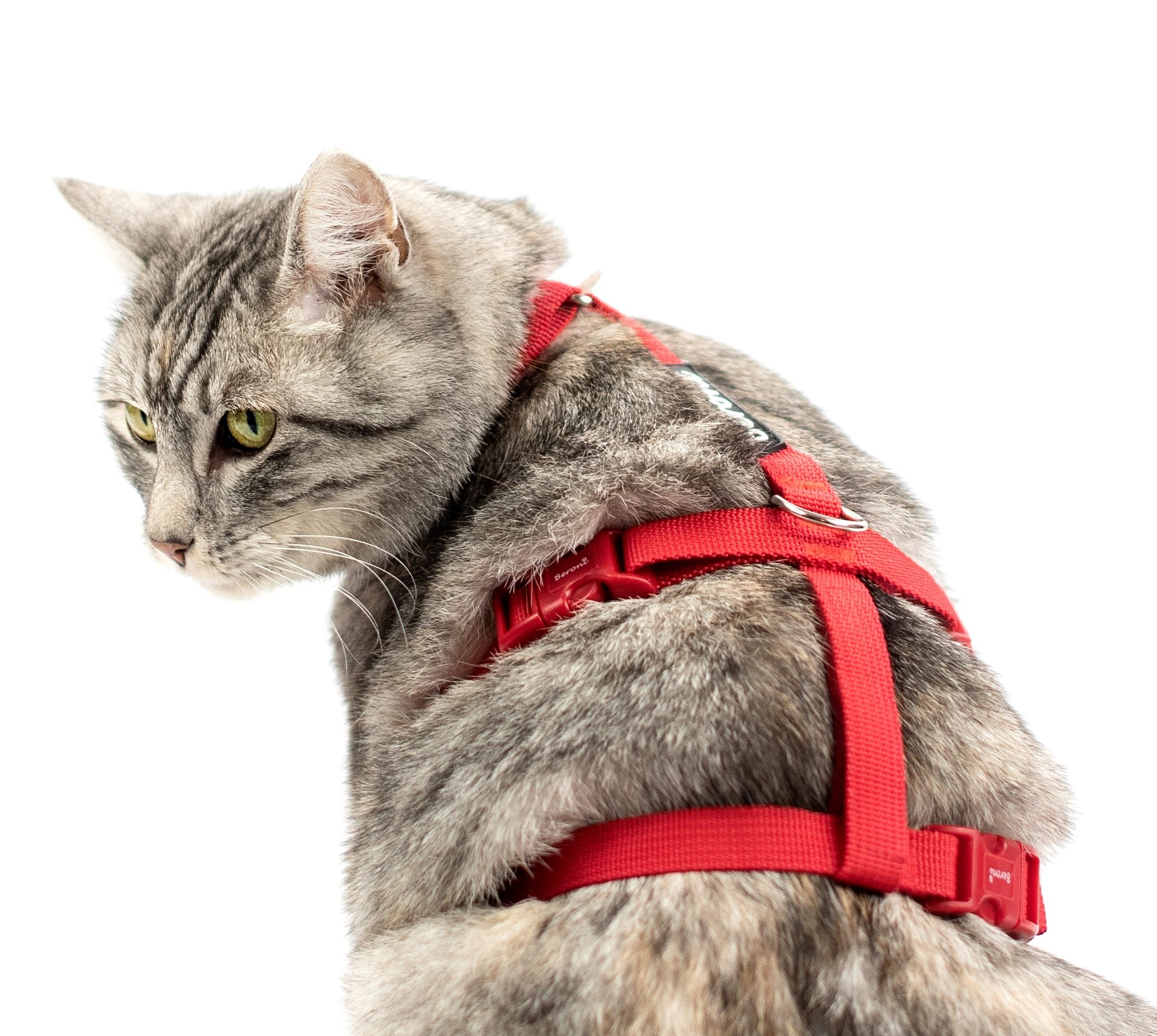 Beroni Sicherheitsgeschirr Katzengeschirr Safety Harness Classic ausbruchsi günstig online kaufen