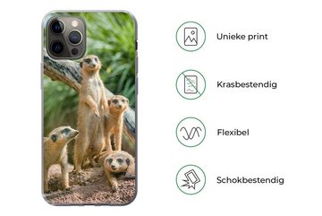 MuchoWow Handyhülle Erdmännchen - Familie - Tiere, Handyhülle Apple iPhone 12 Pro, Smartphone-Bumper, Print, Handy