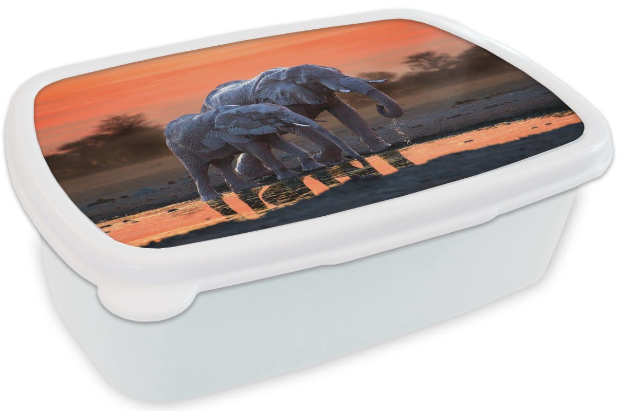 und Kunststoff, Mädchen - weiß MuchoWow - Erwachsene, Tiere Orange, für Elefant und Brotdose, für Jungs Lunchbox Brotbox - - Sonnenuntergang Kinder Wasser (2-tlg),