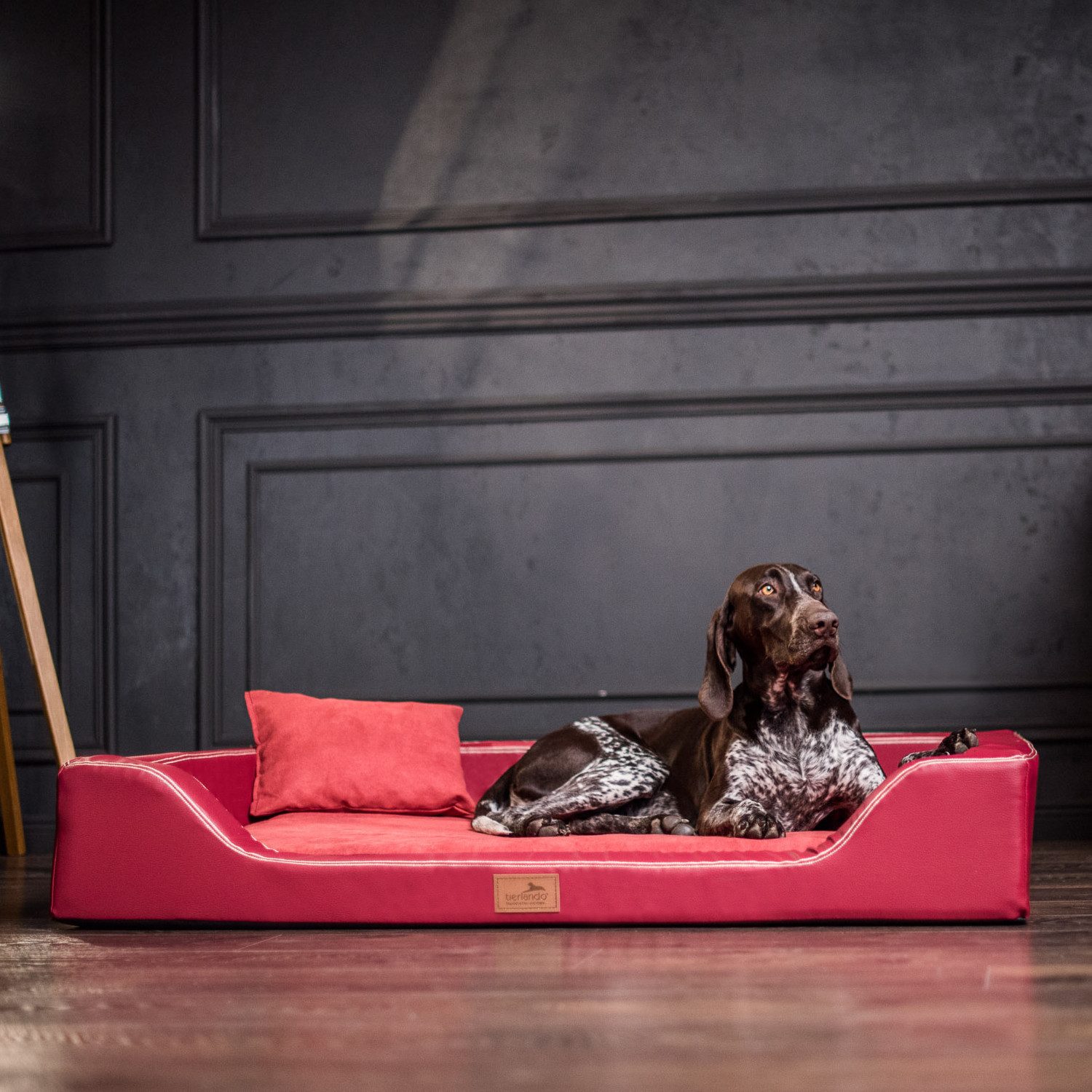 tierlando® Tierbett Orthopädisches LUXUS-Hundebett MELODY LATEX günstig online kaufen