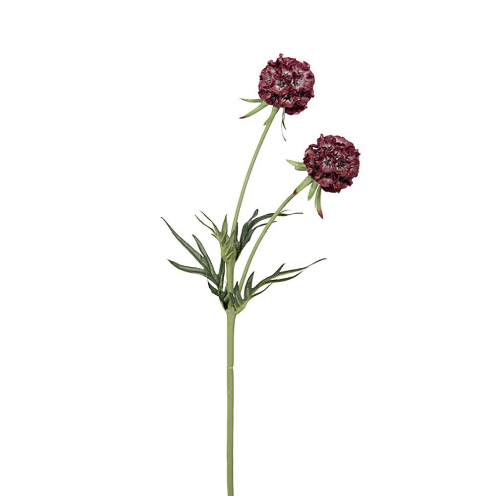 Kunstpflanze FINK Kunstblume Scabiosa - dunkelrot - H. 55cm x B. 10cm, Fink