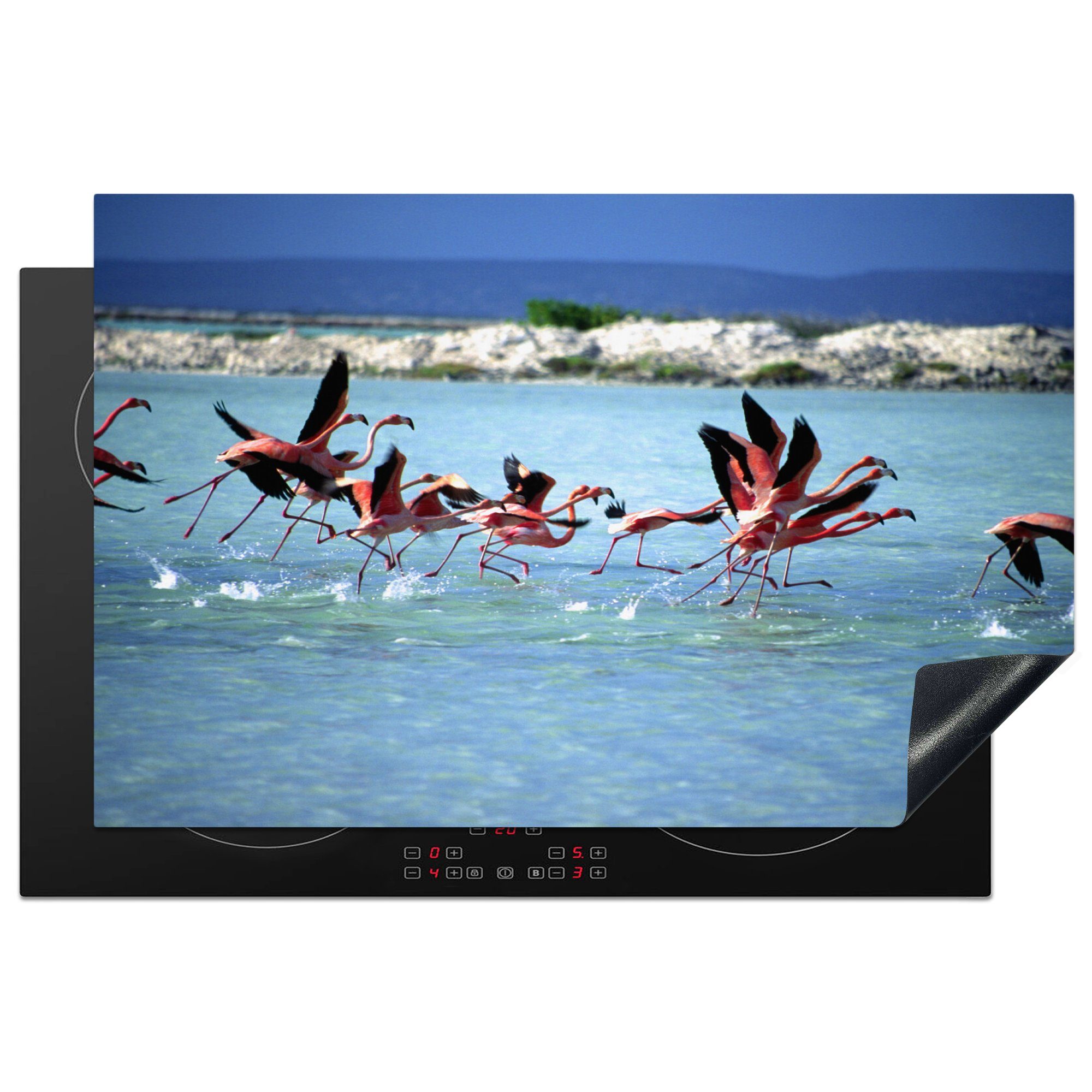 MuchoWow Herdblende-/Abdeckplatte Flamingos spazieren im Meerwasser von Bonaire, Vinyl, (1 tlg), 81x52 cm, Induktionskochfeld Schutz für die küche, Ceranfeldabdeckung