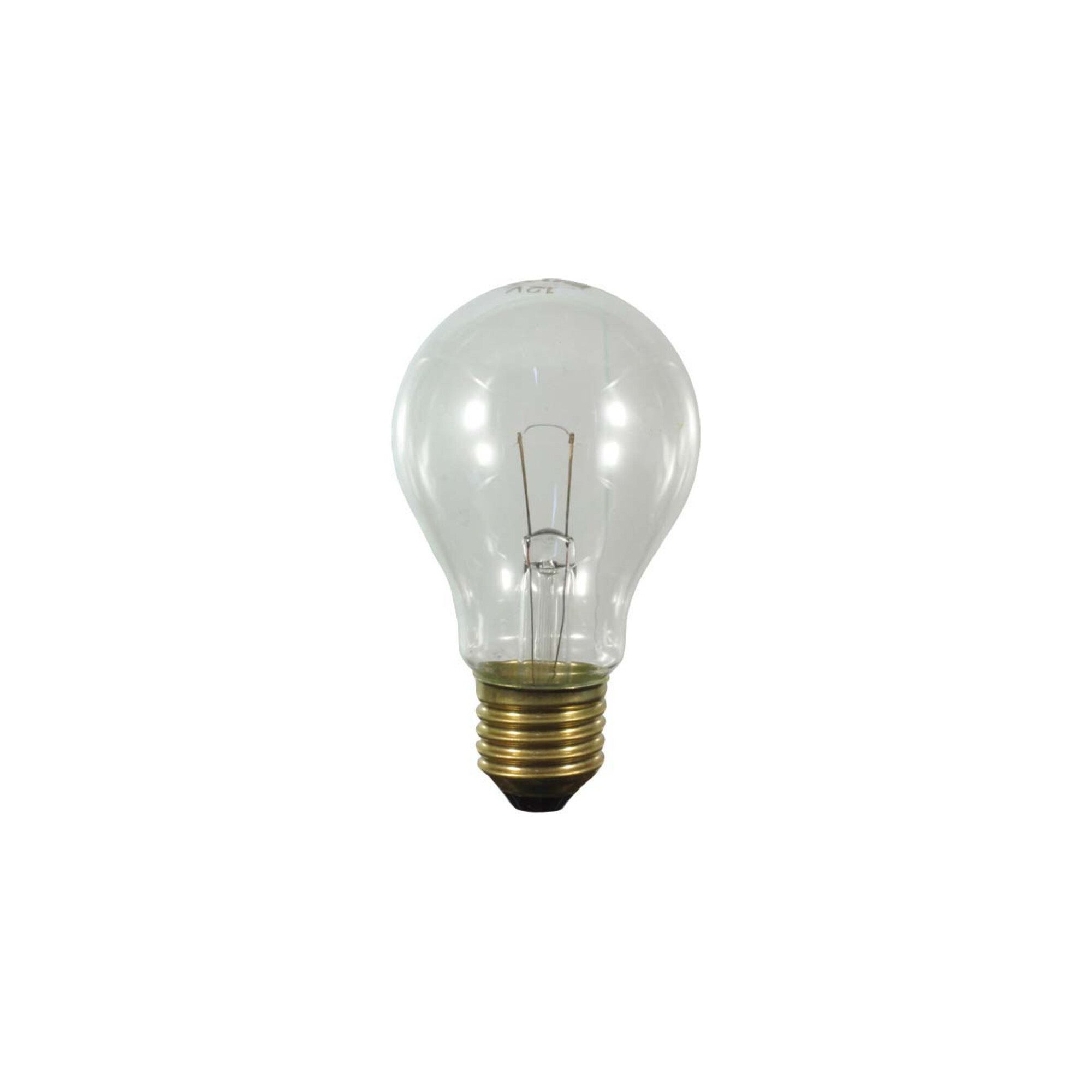 Scharnberger + Hasenbein SUP-Leuchte Scharnberger+Hasenbein Allgebrauchslampe 60x105 E27 230V 7W klar 57400