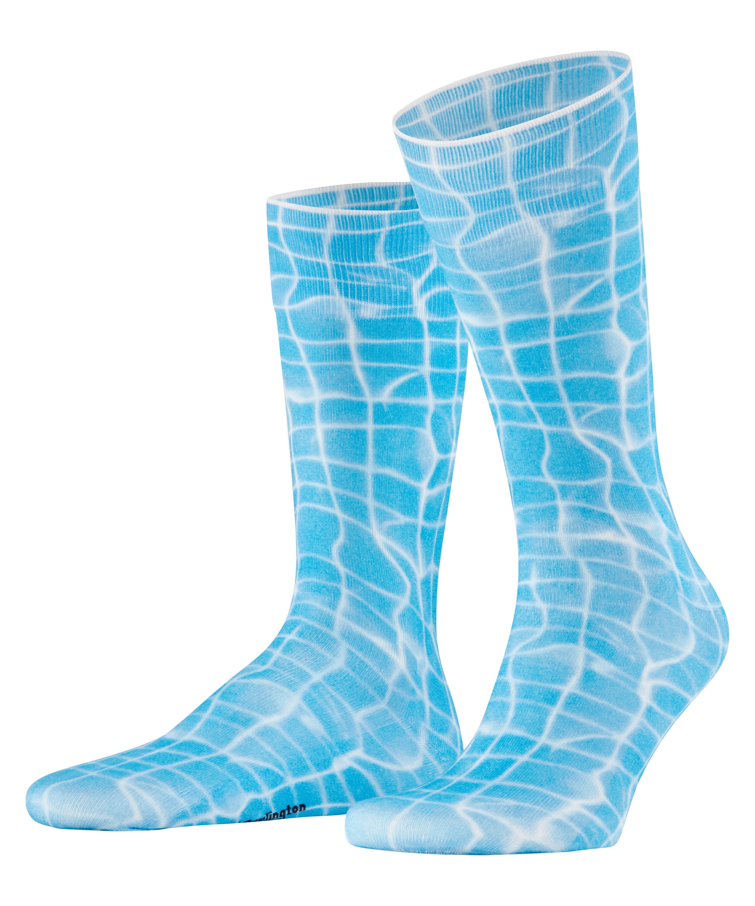 cornflower blue (6337)