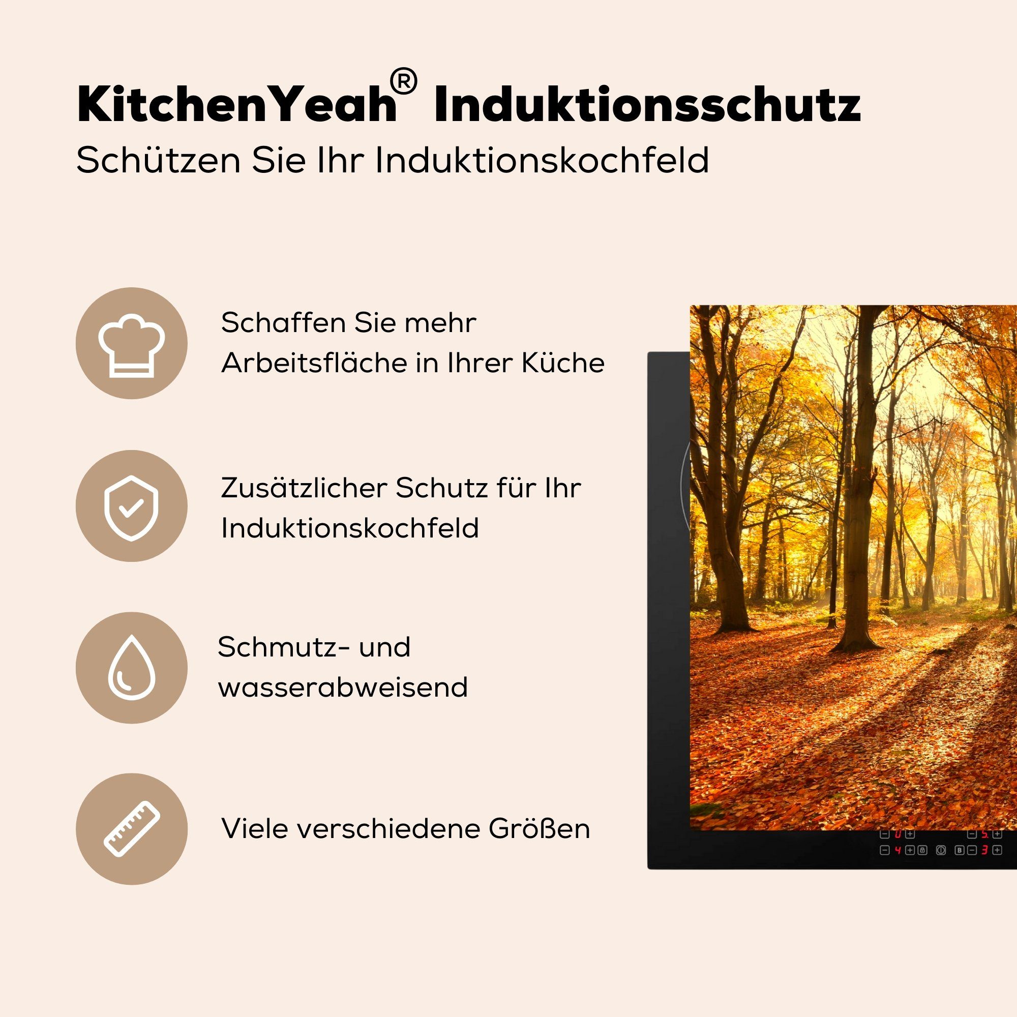 küche, Schutz für - 81x52 Ceranfeldabdeckung - cm, Licht Laub (1 Vinyl, Induktionskochfeld die Herdblende-/Abdeckplatte Herbst, tlg), MuchoWow